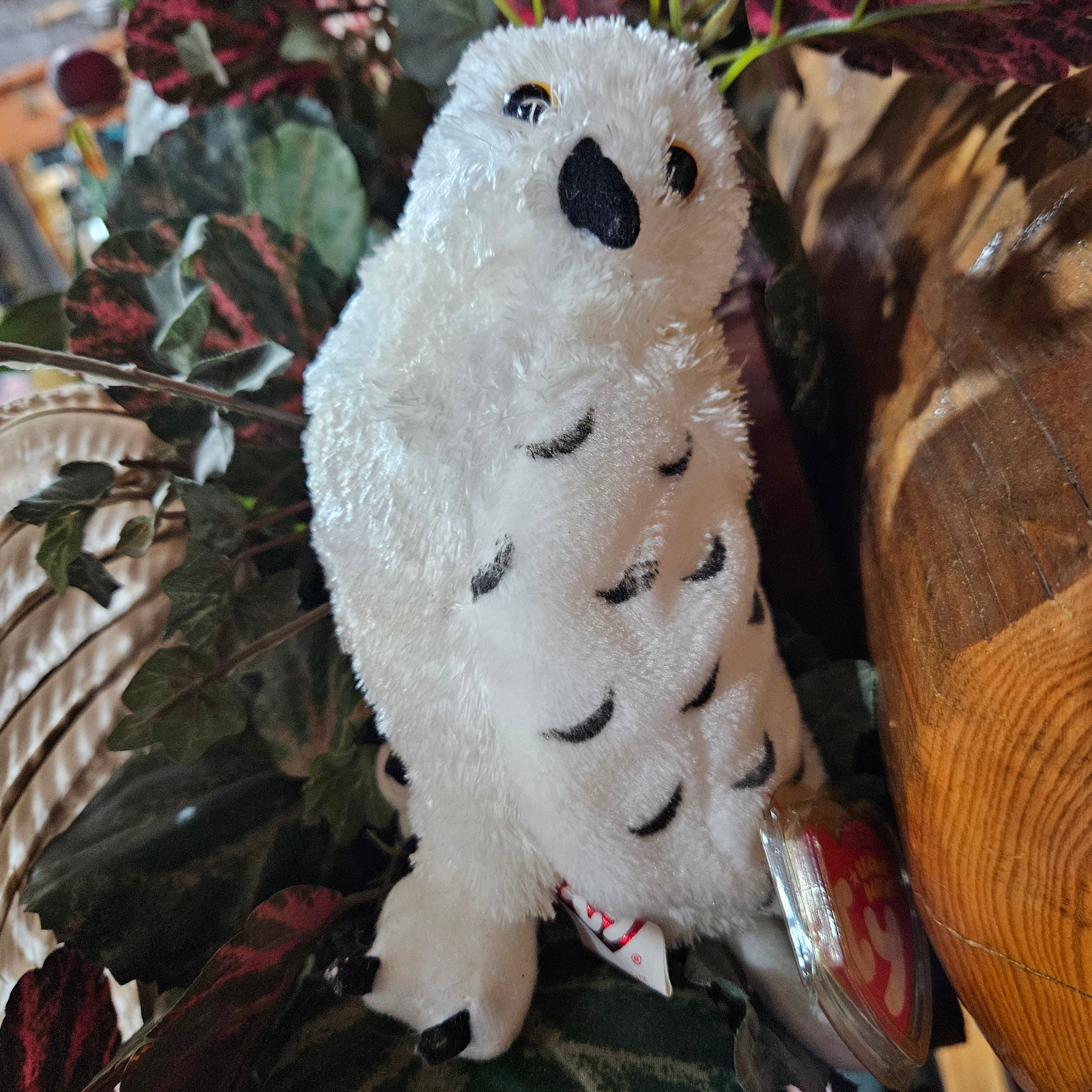 Ty Beanie Babies "Summit the Owl"