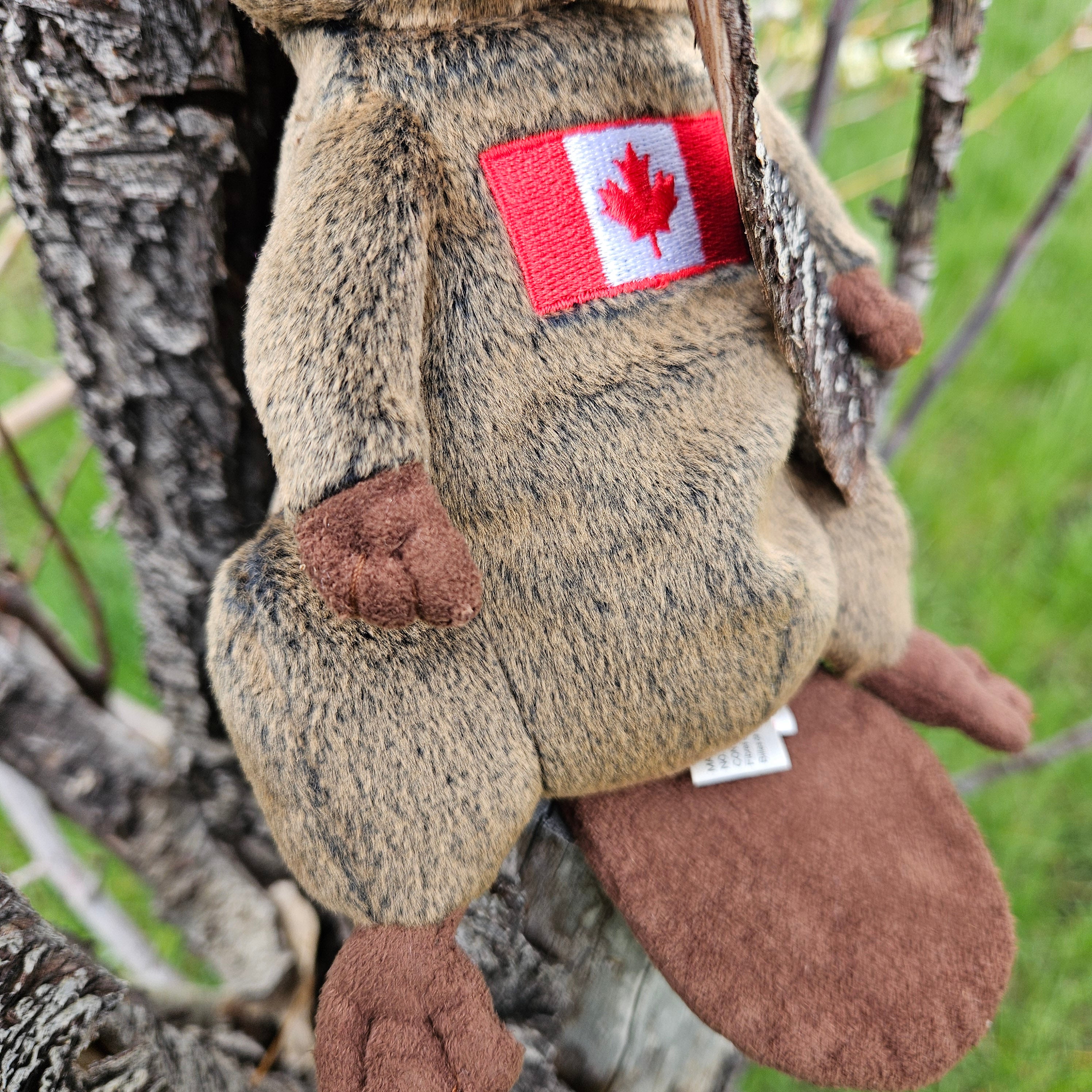 Ty Beanie Babies "Timbers the Beaver"
