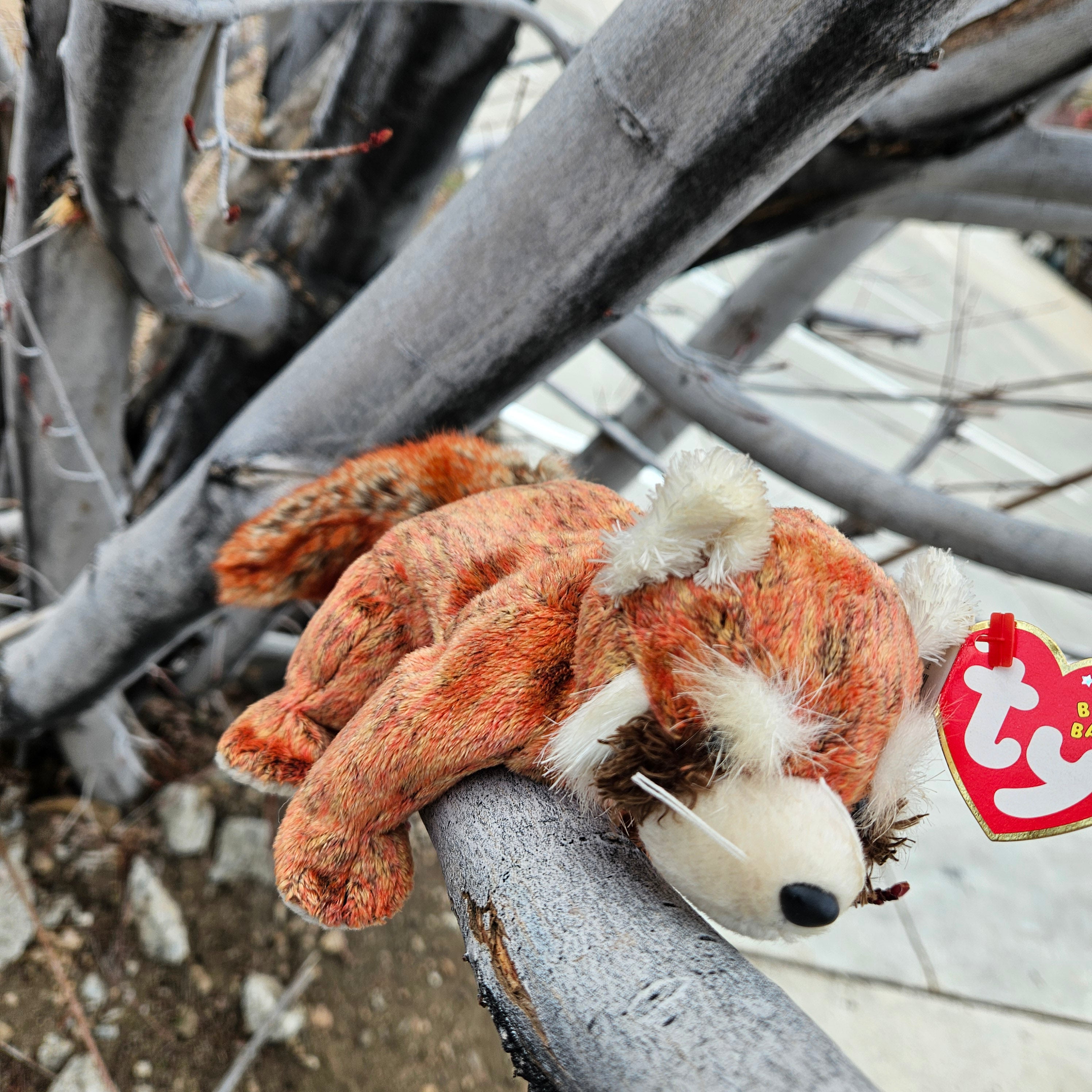 Ty Beanie Babies "Rusty the Red Panda"