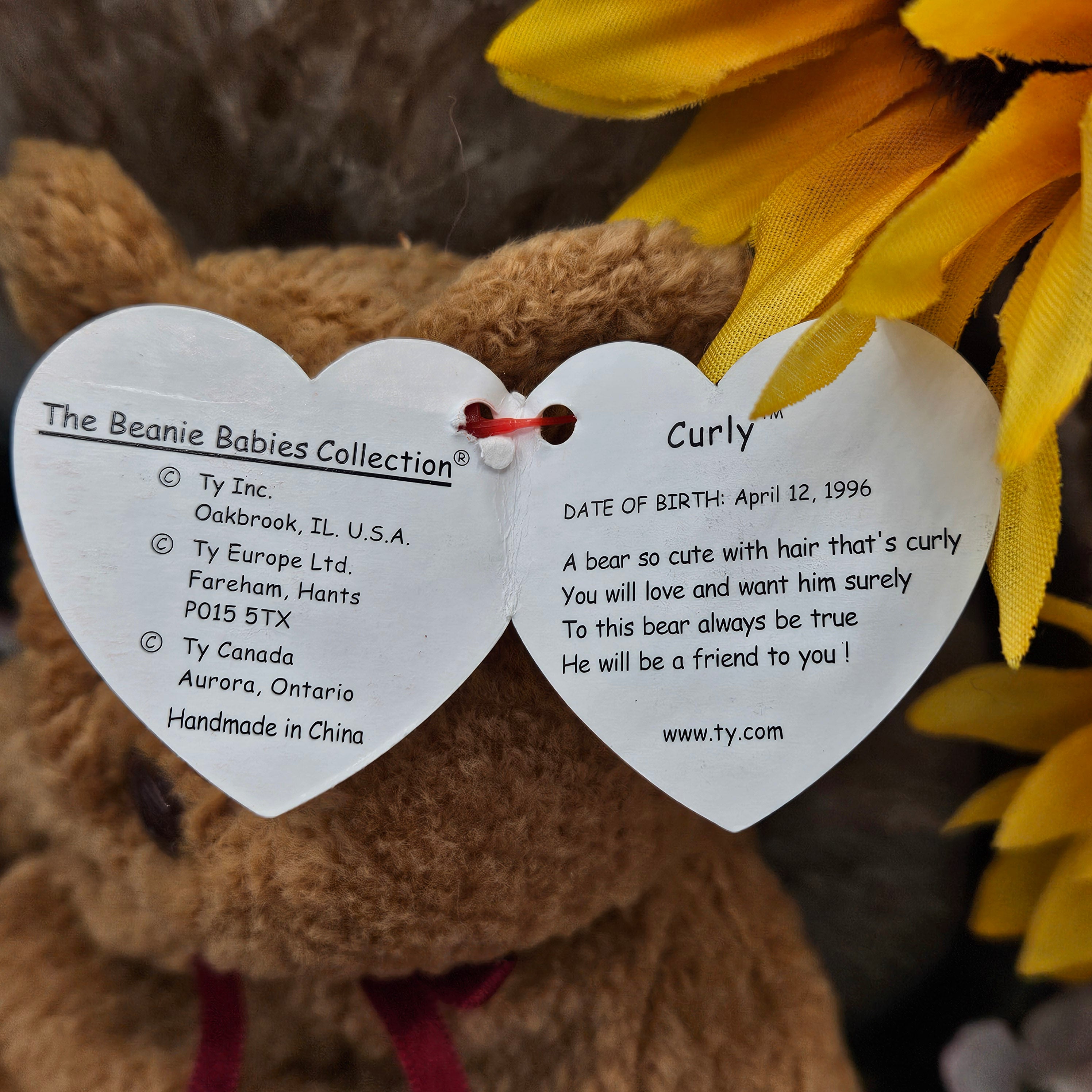 Ty Beanie Babies "Curly the Bear"