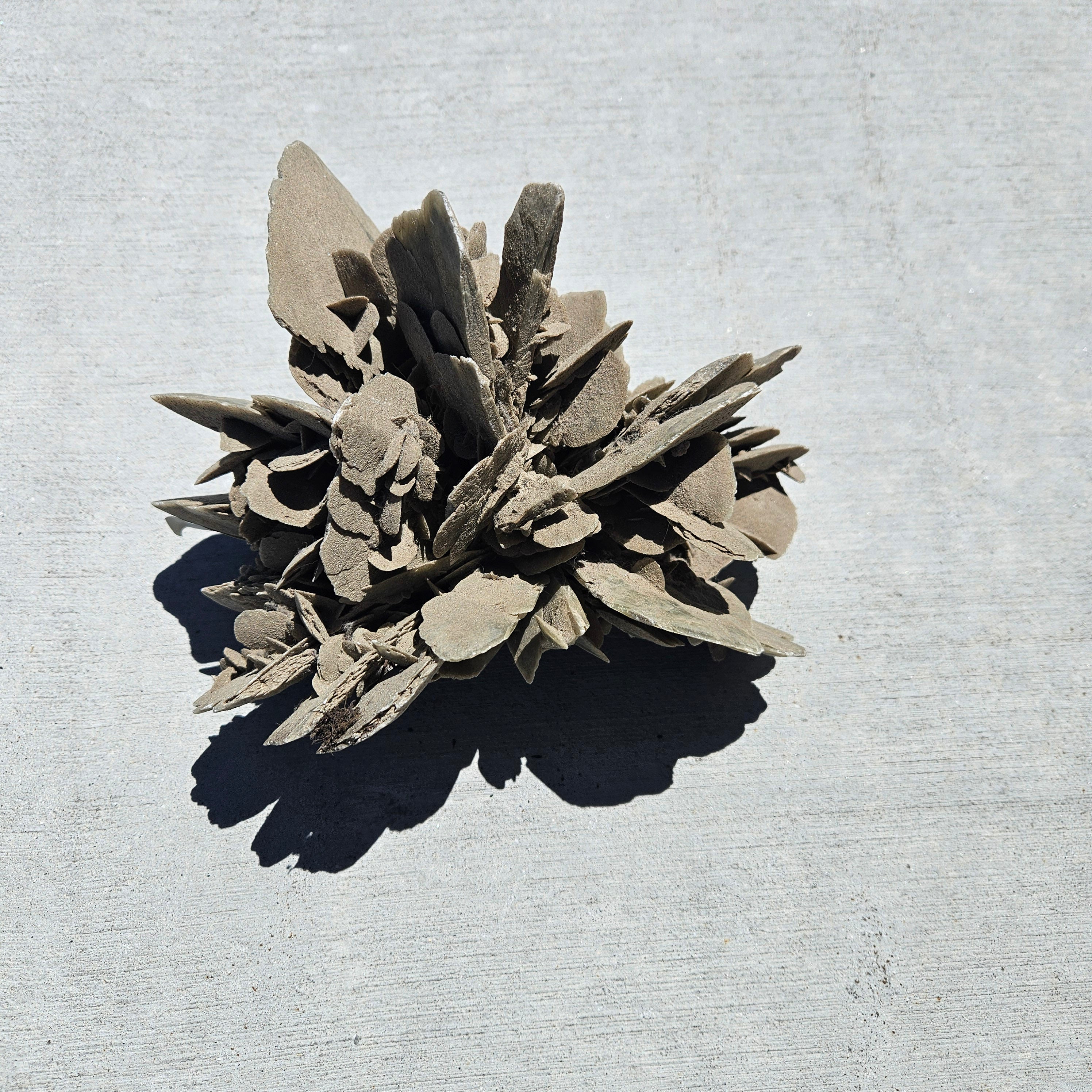 Desert Rose stone Cluster