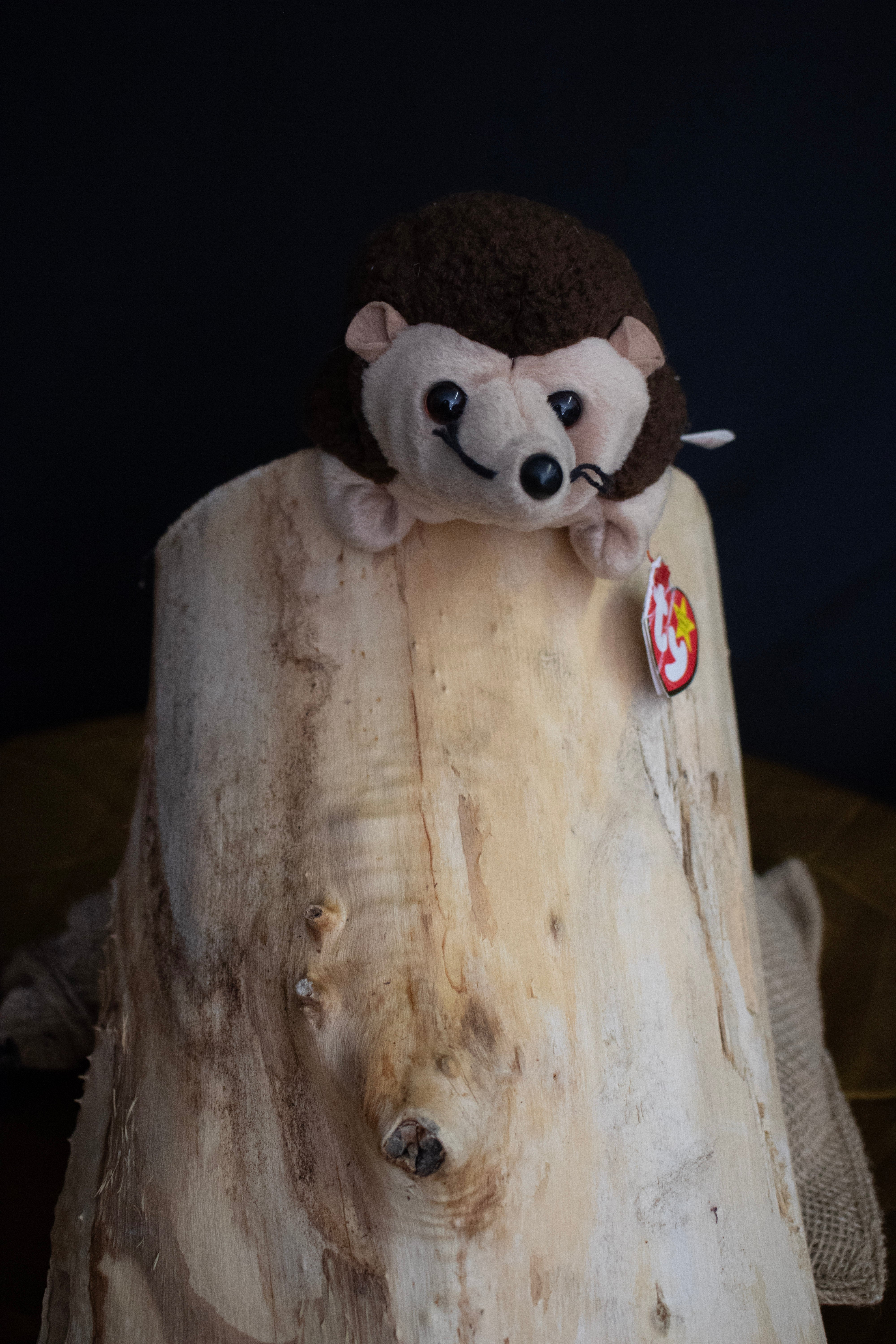 Ty Beanie Baby Prickles The Hedgehog
