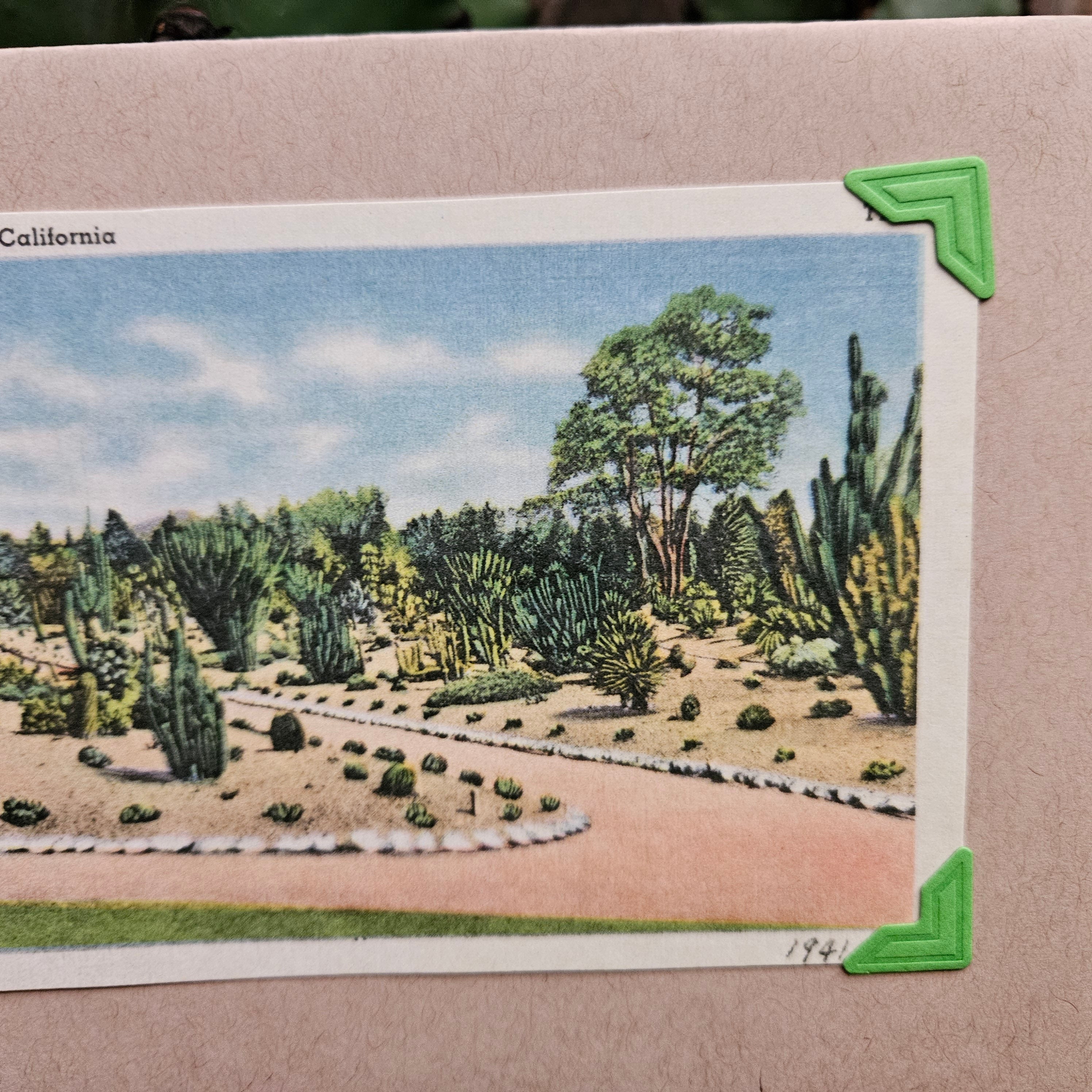 Beautifully Hand Crafted Custom Created Greeting Card Series by Diane Stegman "Cactus Beds, Southern California"