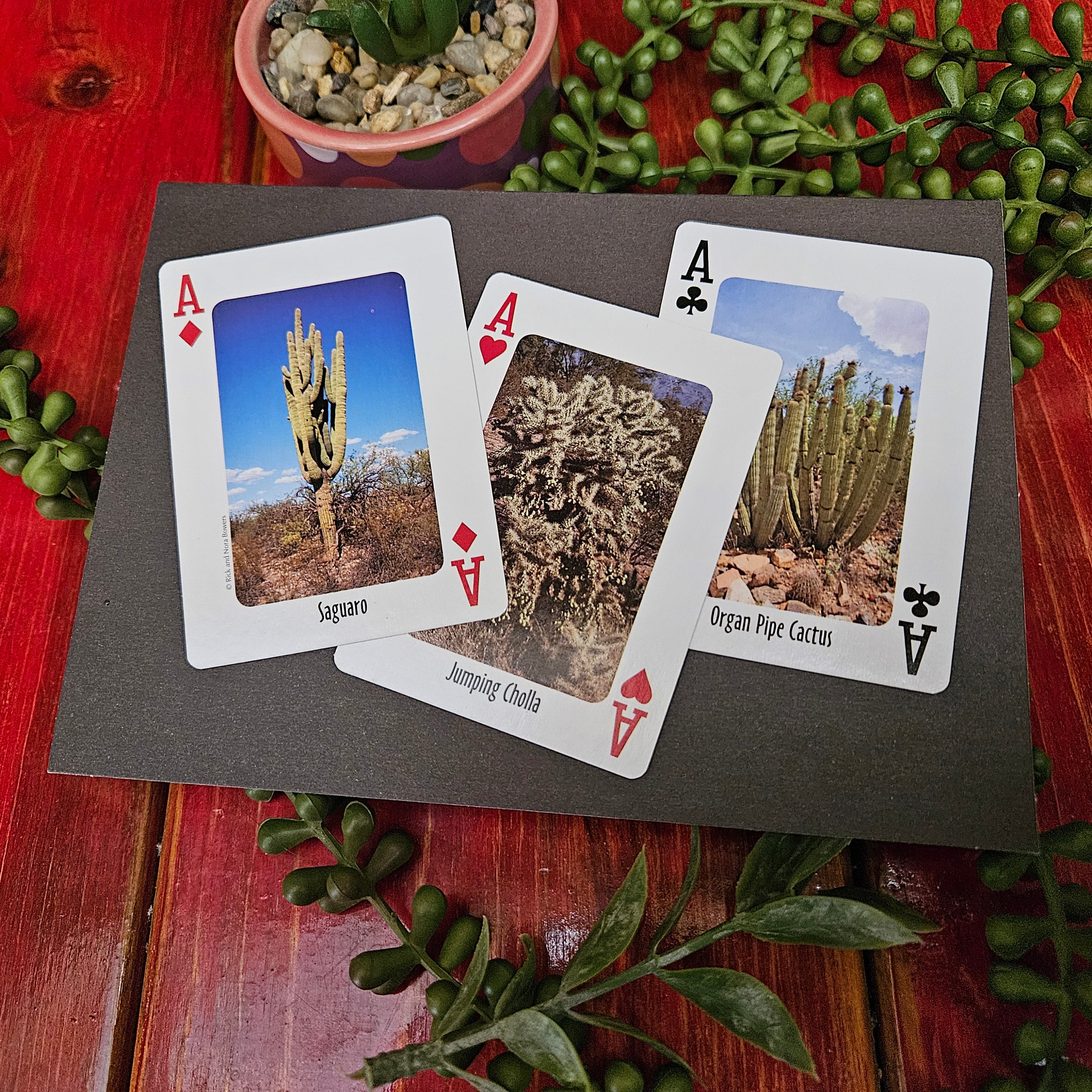 Beautifully Hand Crafted Custom Created Greeting Card Series by Diane Stegman "3 Aces Cactus"