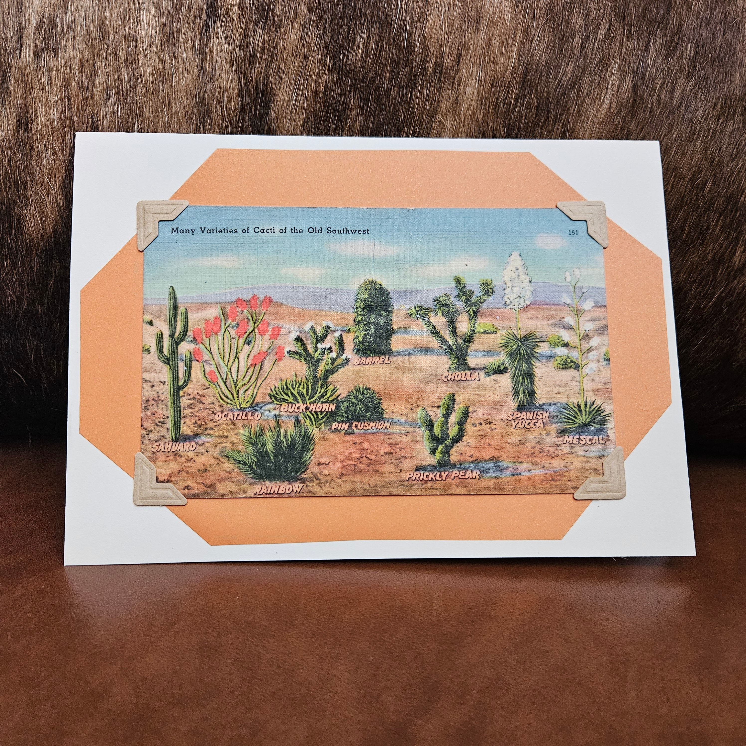 Beautifully Hand Crafted Custom Created Greeting Card Series by Diane Stegman "Cacti of the Old Southwest"