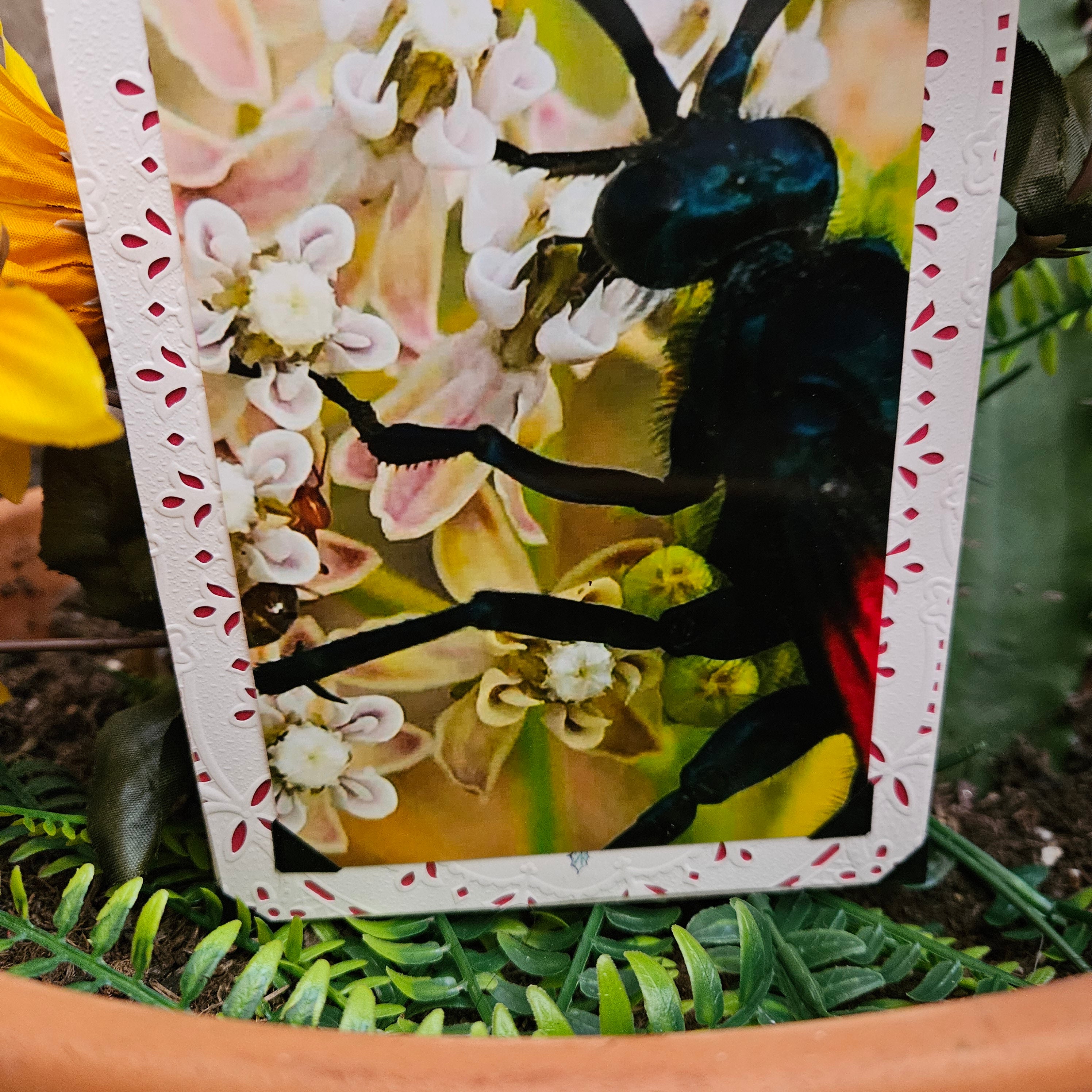 Beautifully Hand Crafted Custom Created Greeting Card Series by Diane Stegman "Tarantula Hawk"