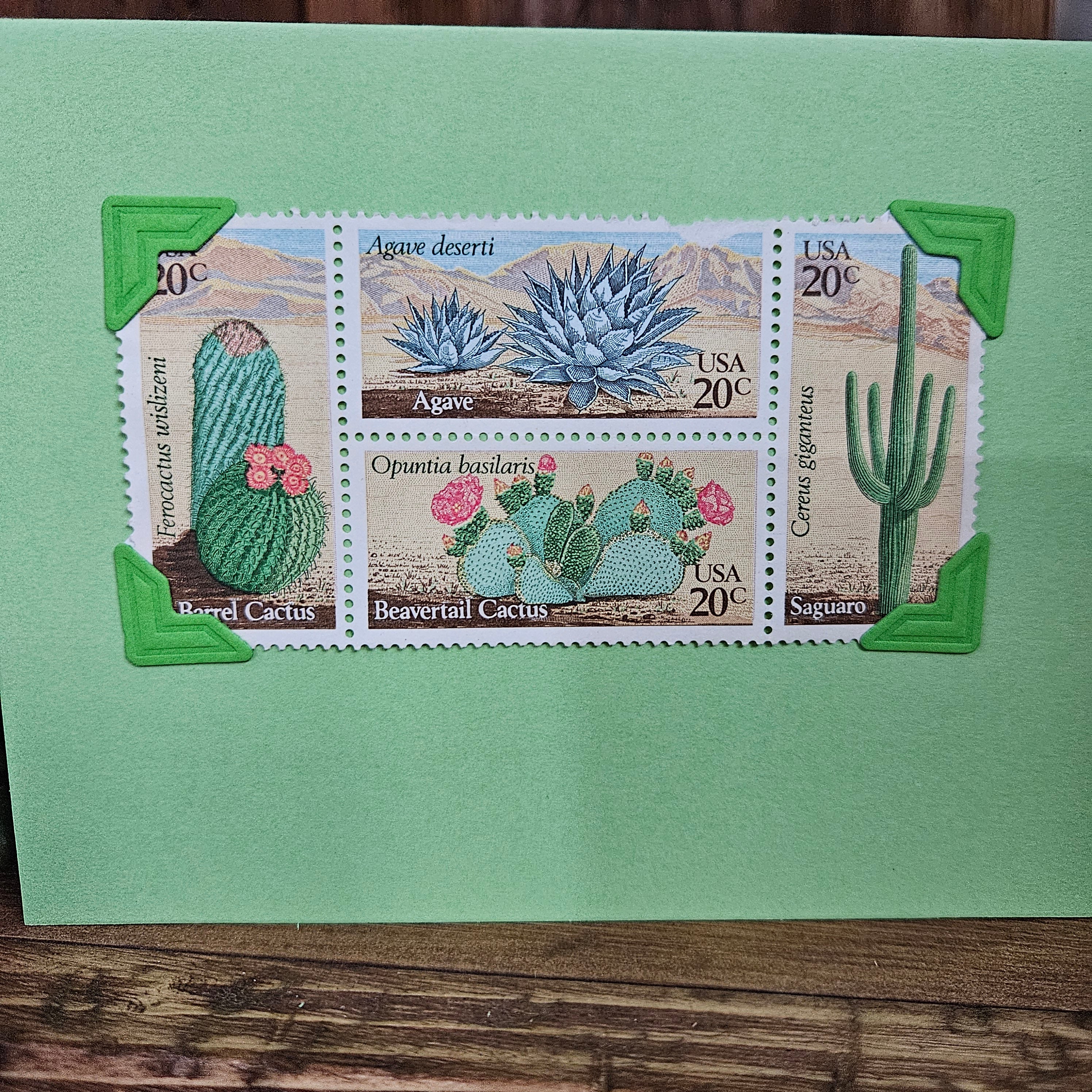 Beautifully Hand Crafted Custom Created Greeting Card Series by Diane Stegman "Cactus Stamps"