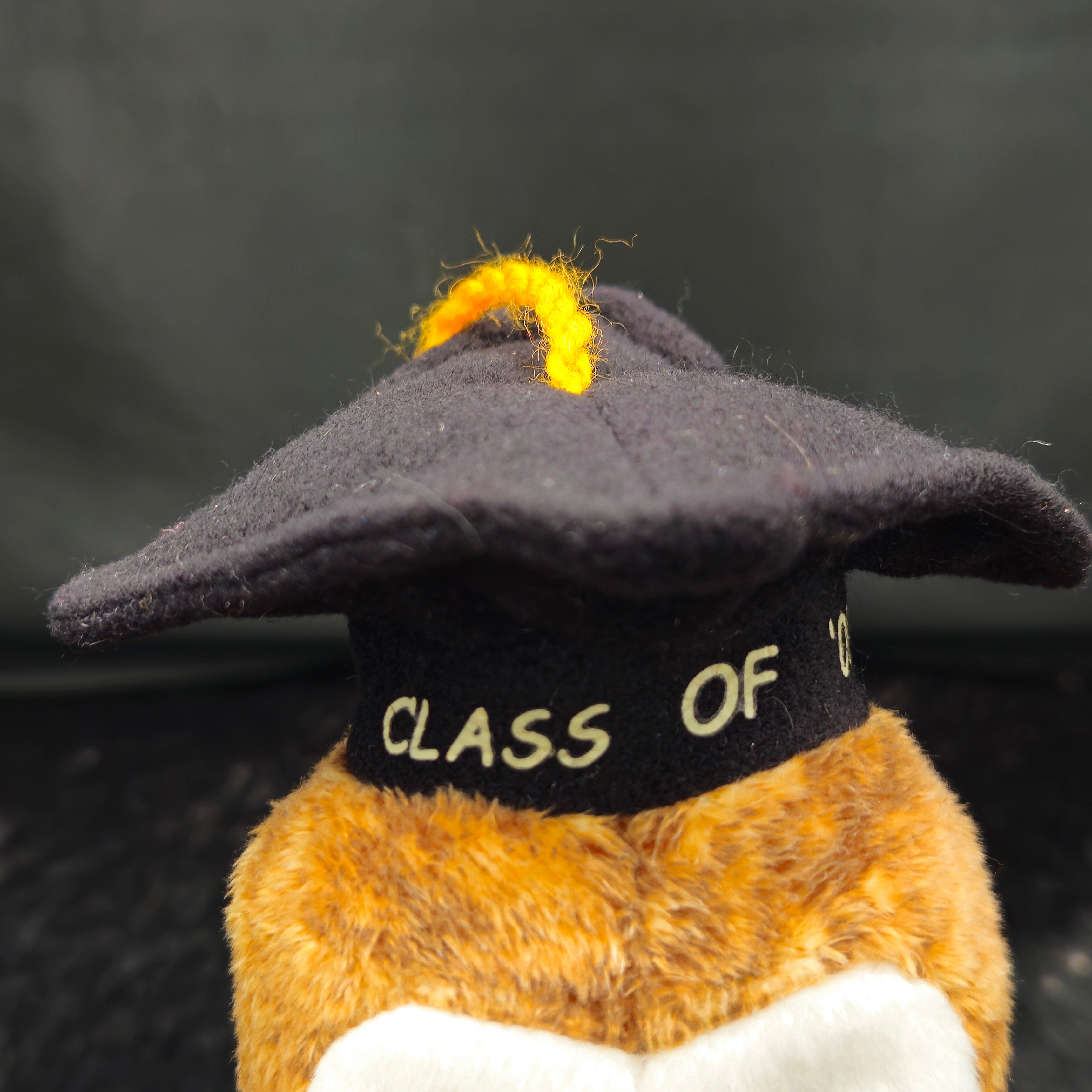 Ty Beanie Babies "Wisest the Owel"