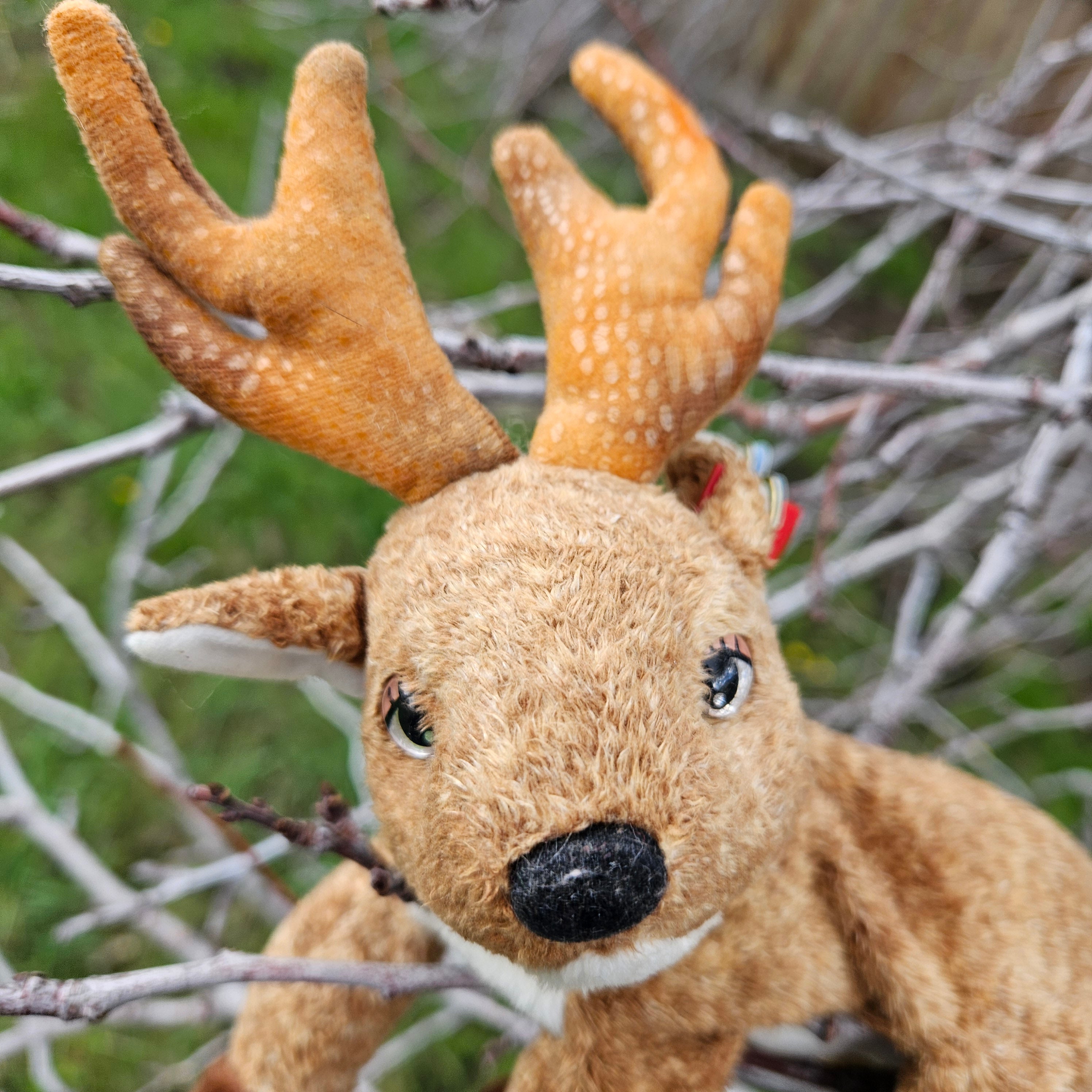 Ty Beanie Babies "Roxie the Reindeer"