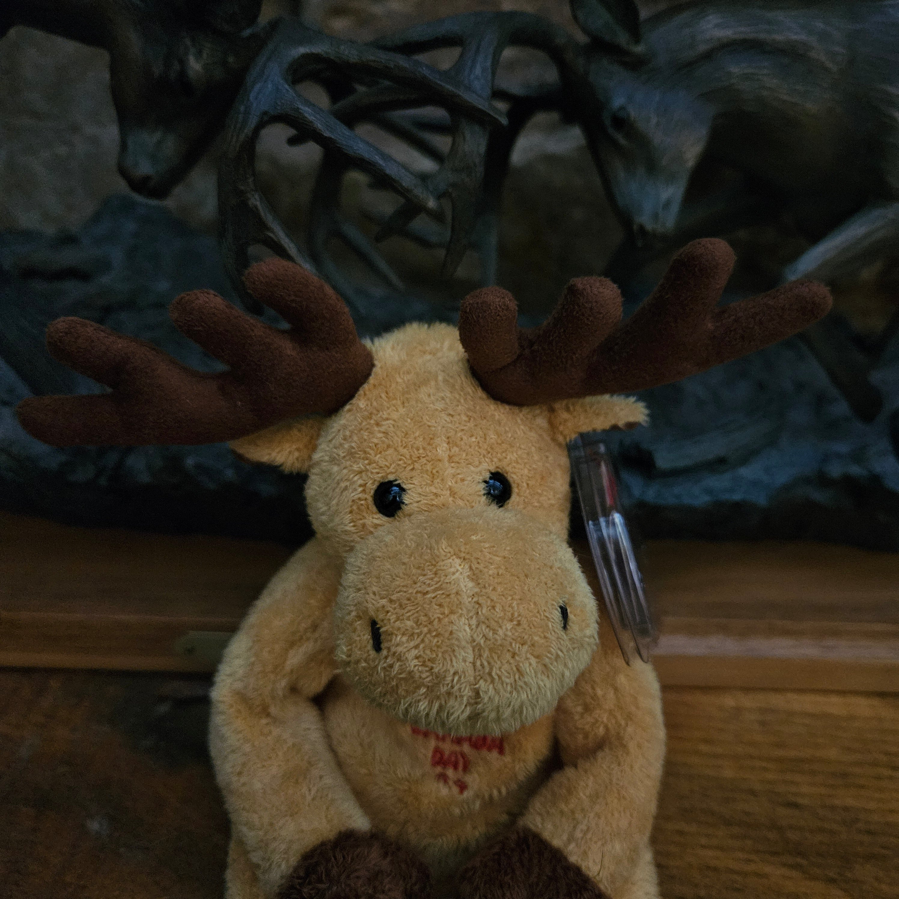Ty Beanie Babies "Dominion the Moose"