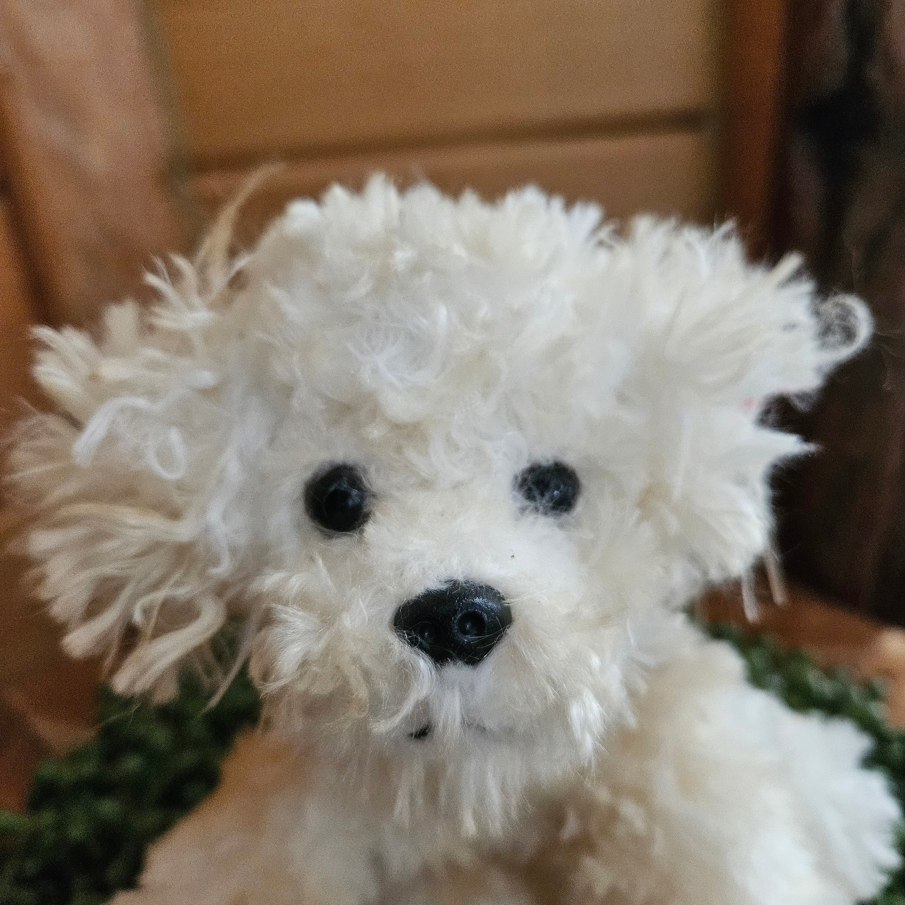 Ty Beanie Babies "Lollipup the Dog"