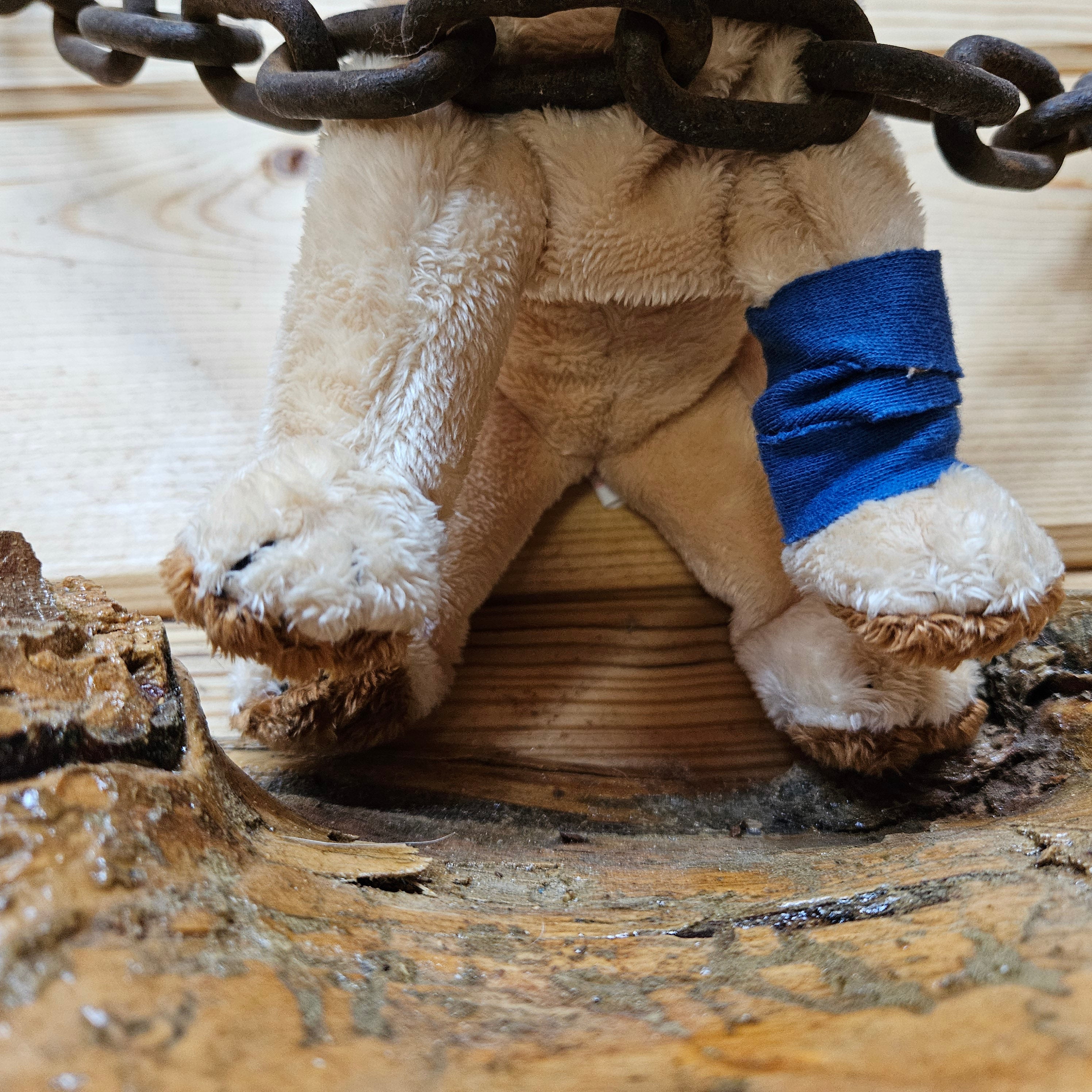 Ty Beanie Babies "Pads the Dog"