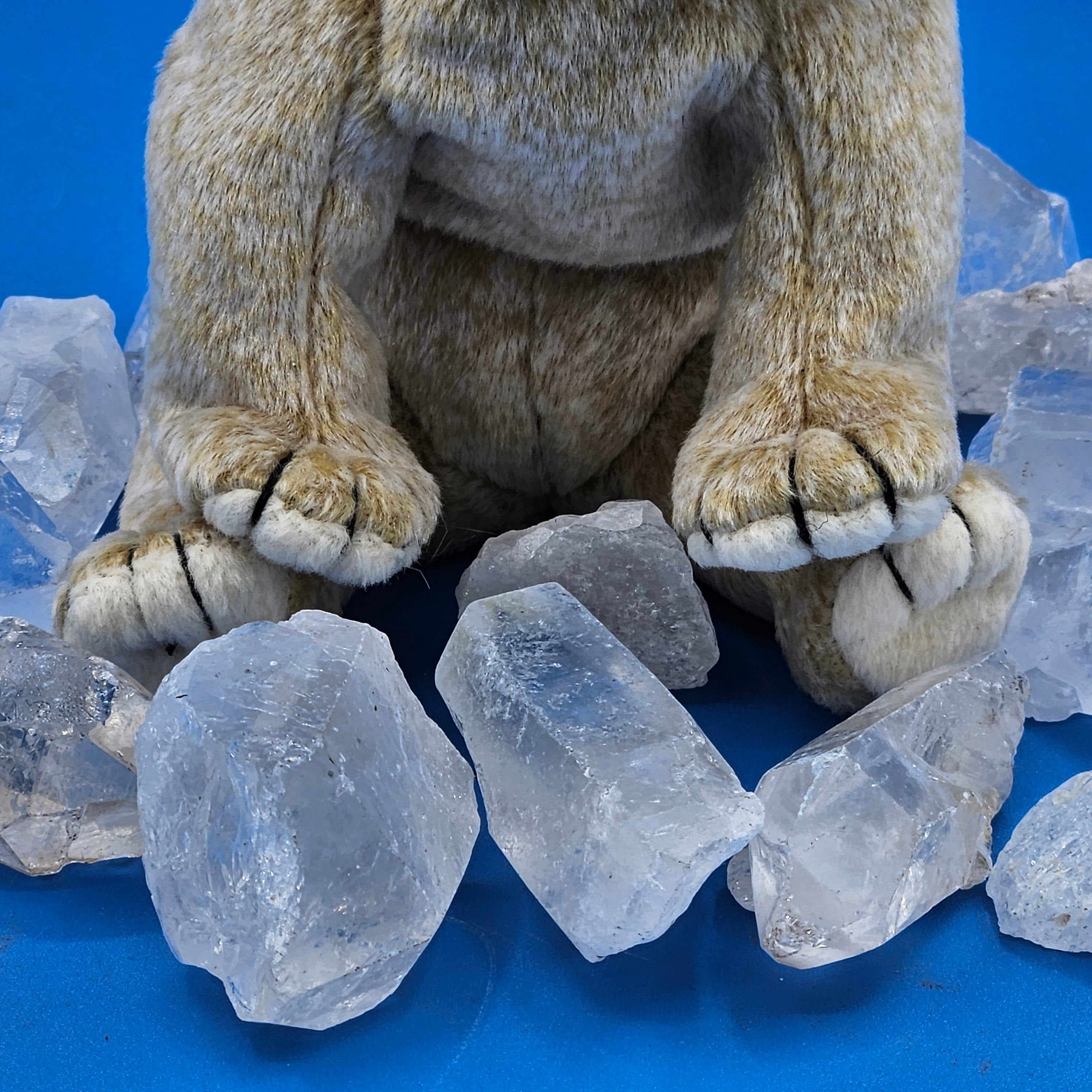 Ty Beanie Babies "Almond the Bear"