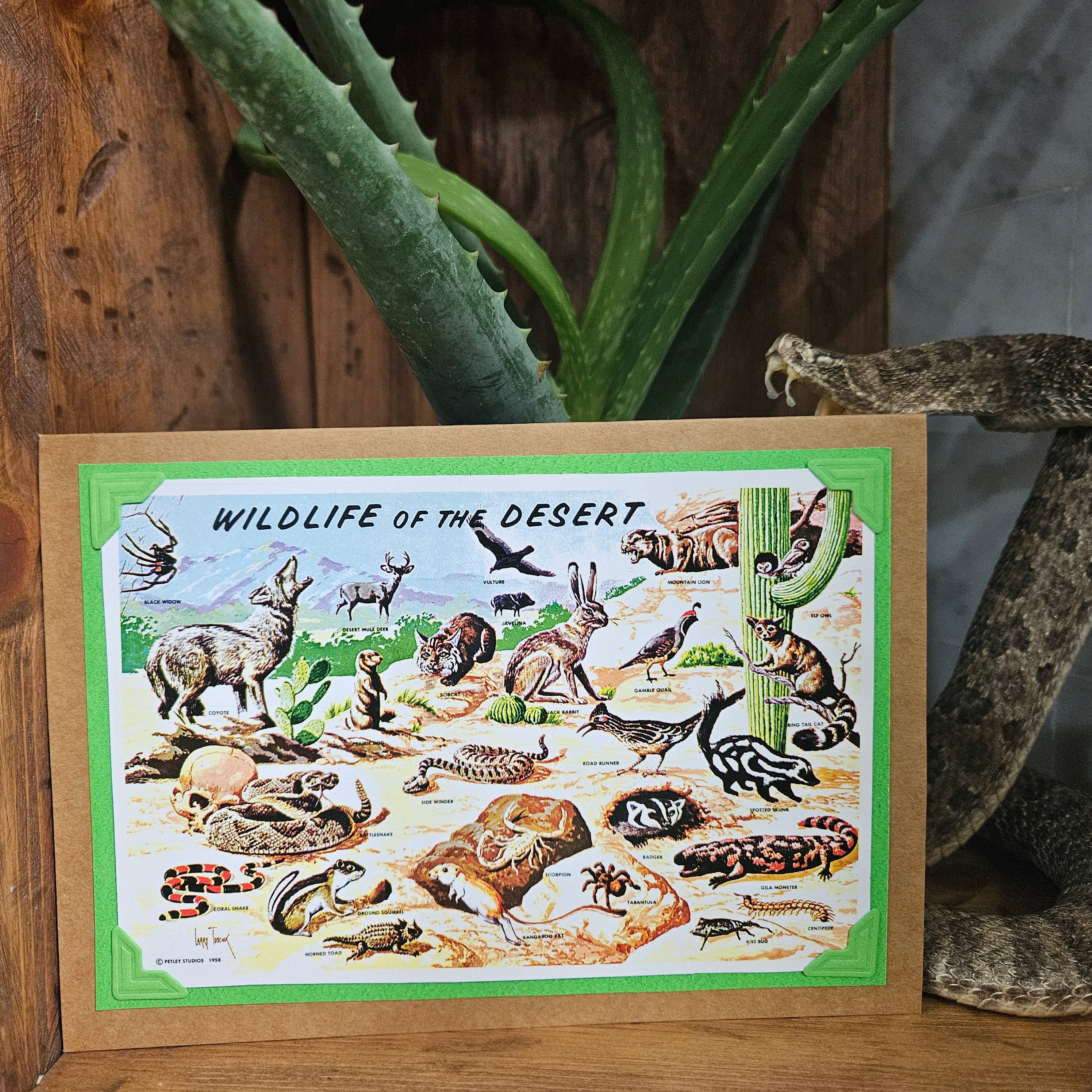 Beautifully Hand Crafted Custom Created Greeting Card Series by Diane Stegman "Wildlife of the Desert"