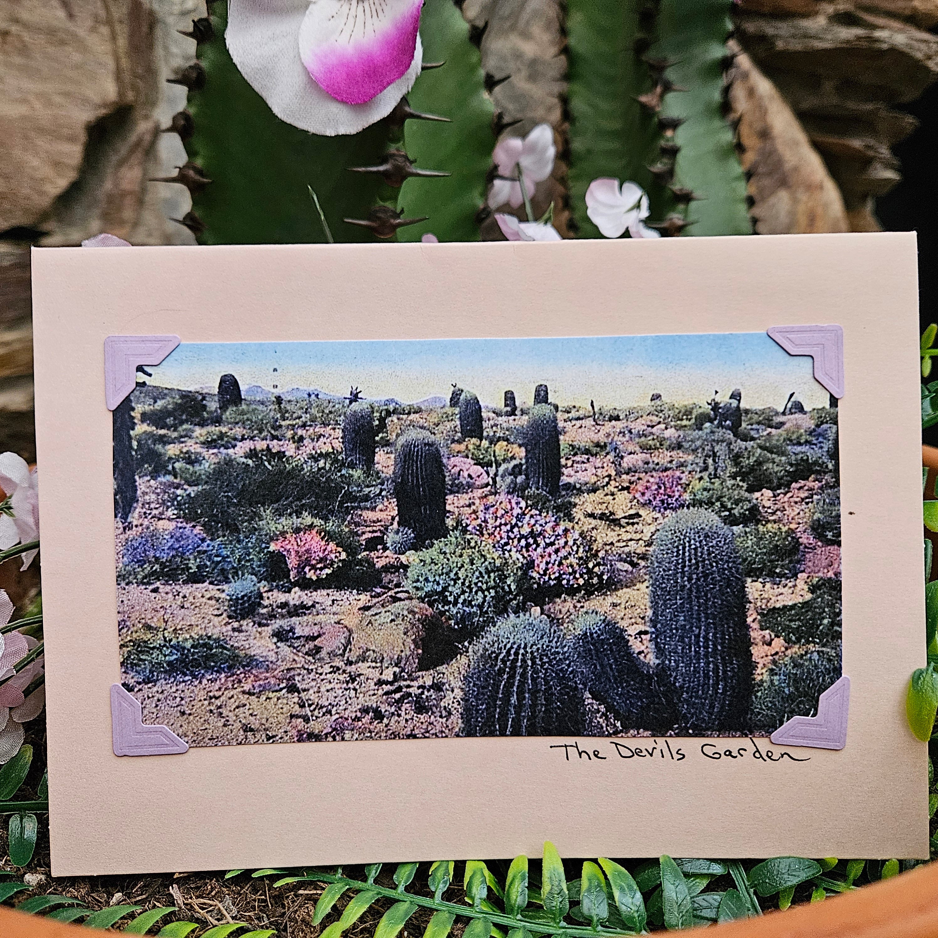 Beautifully Hand Crafted Custom Created Greeting Card Series by Diane Stegman "The Devil's Garden"
