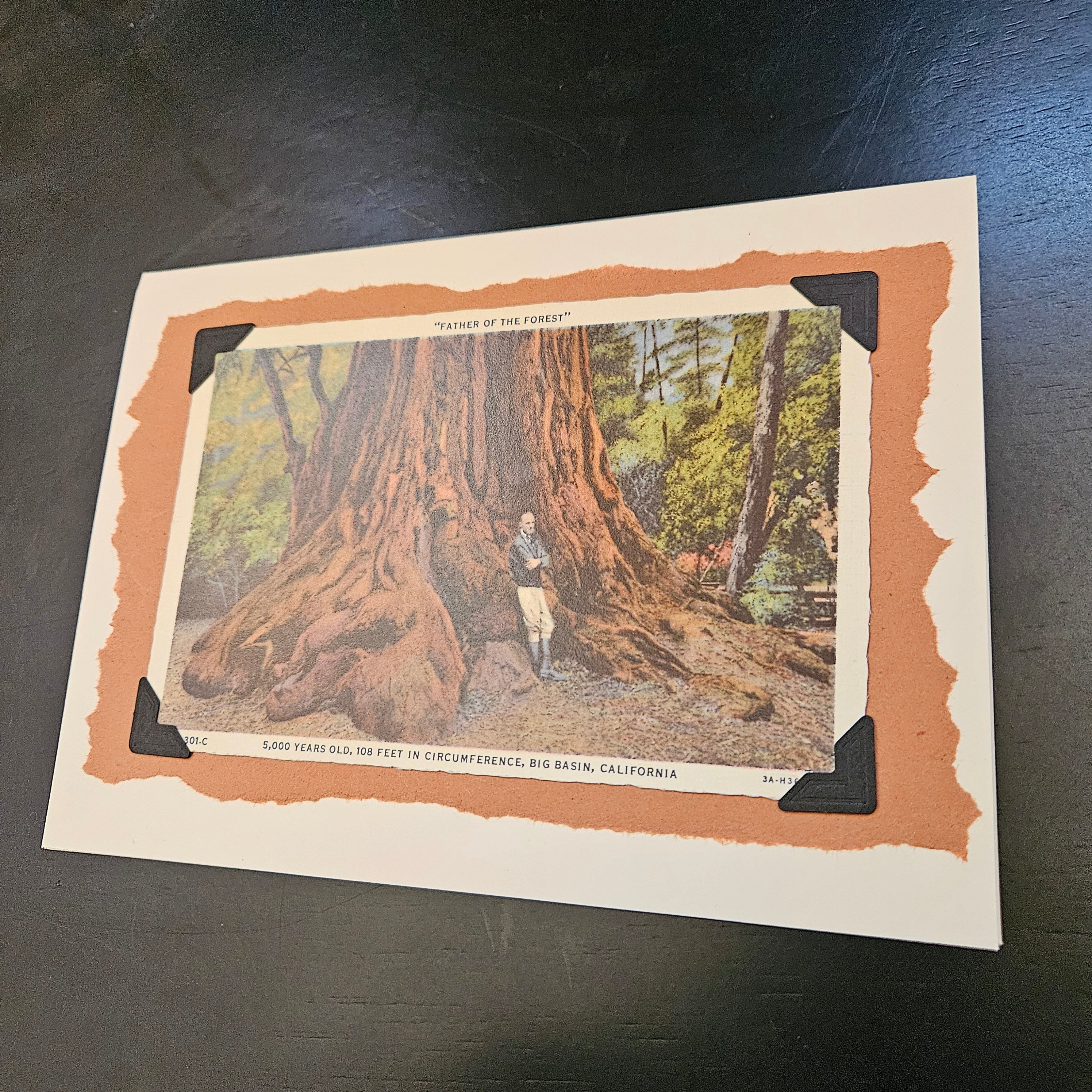 Beautifully Hand Crafted Custom Created Greeting Card Series by Diane Stegman "Father of the Forest"