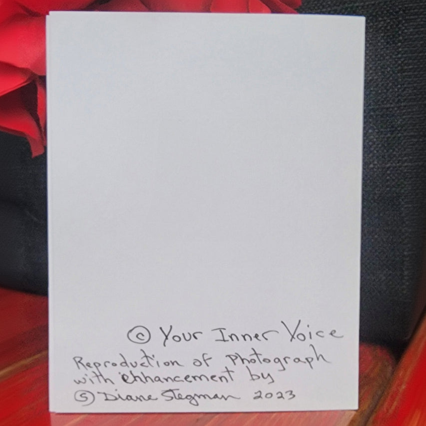 Beautifully Hand Crafted Custom Created Greeting Card Series by Diane Stegman "Heart Shaped Cactus"
