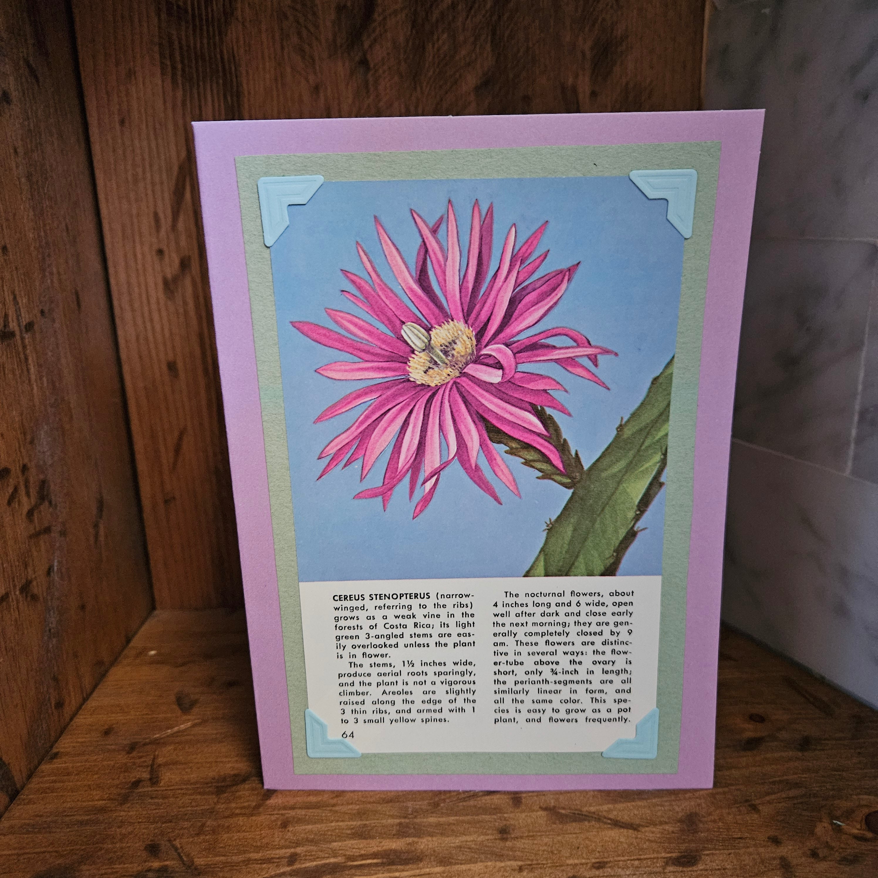 Beautifully Hand Crafted Custom Created Greeting Card Series by Diane Stegman "Cereus Stenopterus"