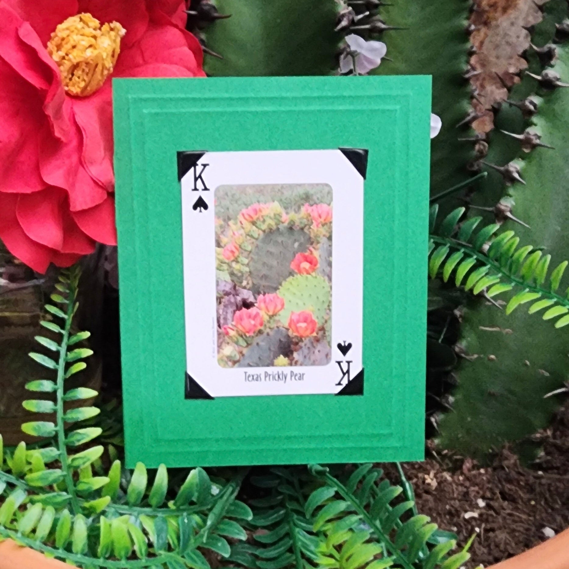 Beautifully Hand Crafted Custom Created Greeting Card Series by Diane Stegman "Texas Prickly Pear"