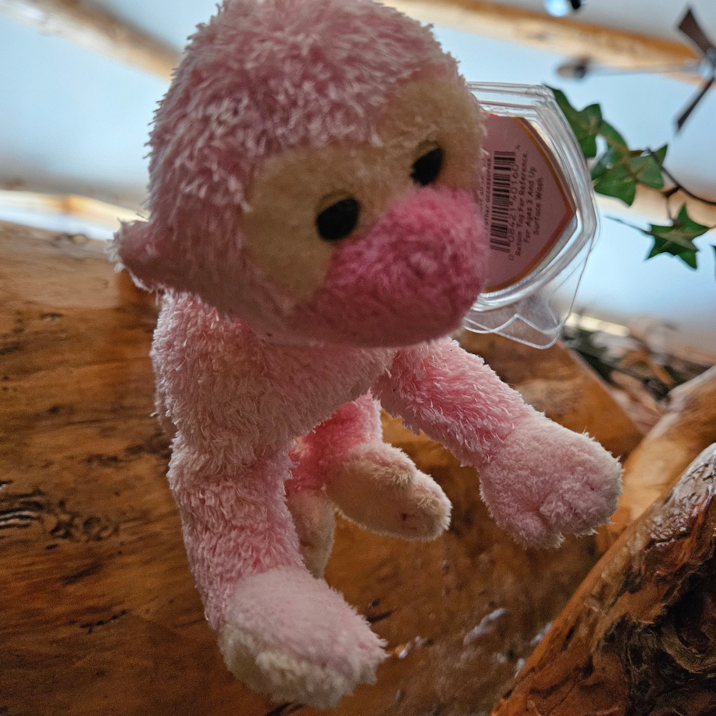 Ty Beanie Babies "Poet the Monkey"