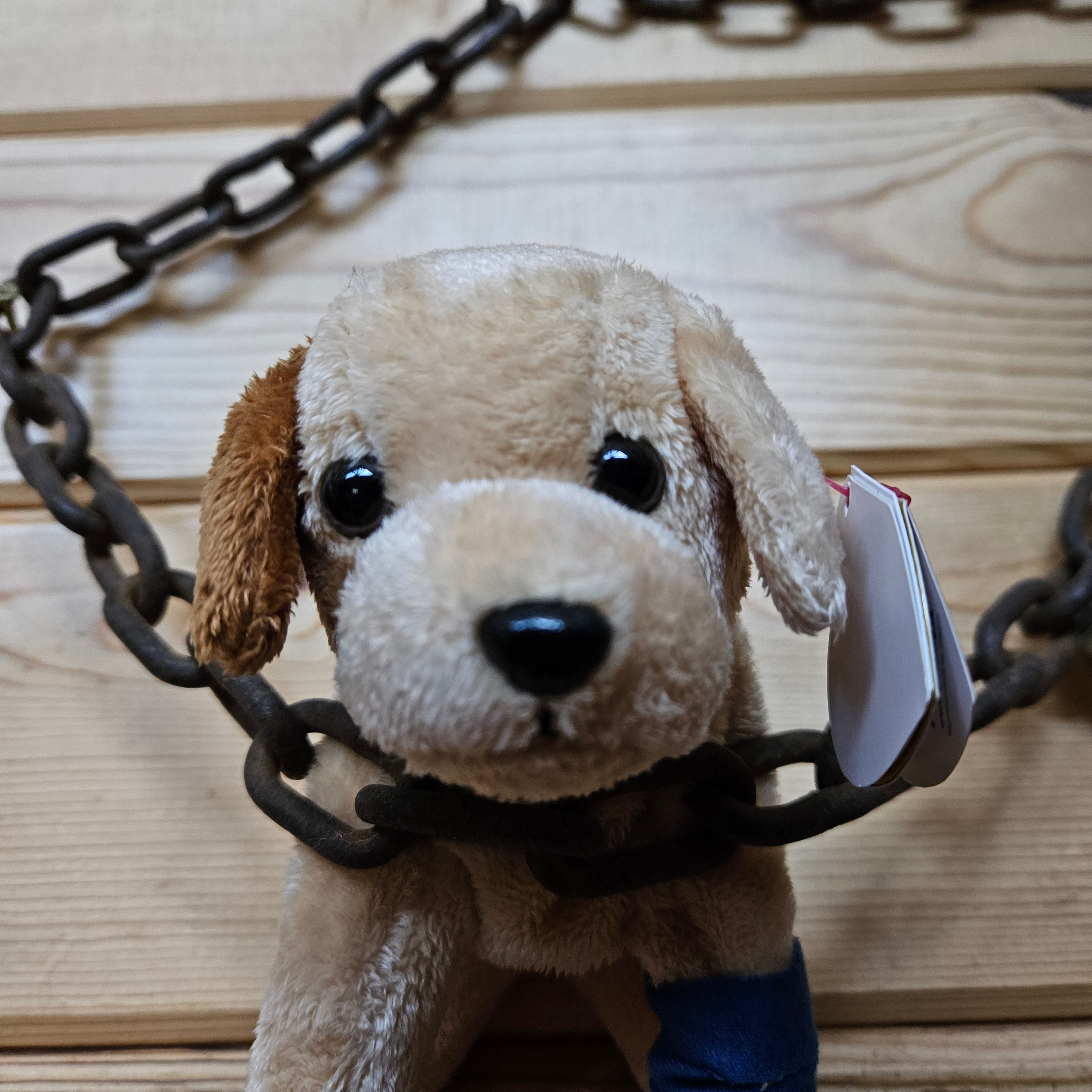 Ty Beanie Babies "Pads the Dog"