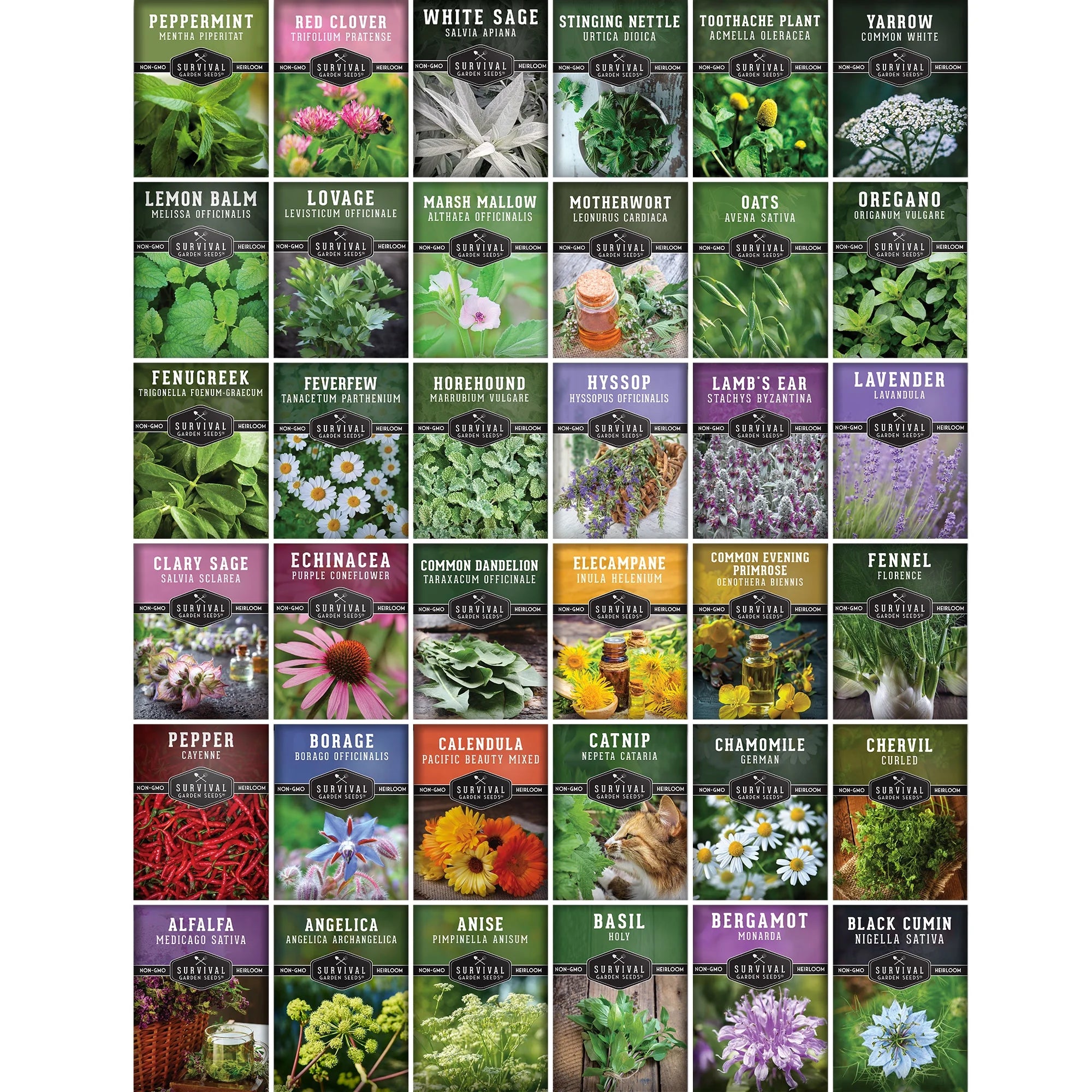 Survival Garden Seeds Ultimate Medicinal Herb Collection