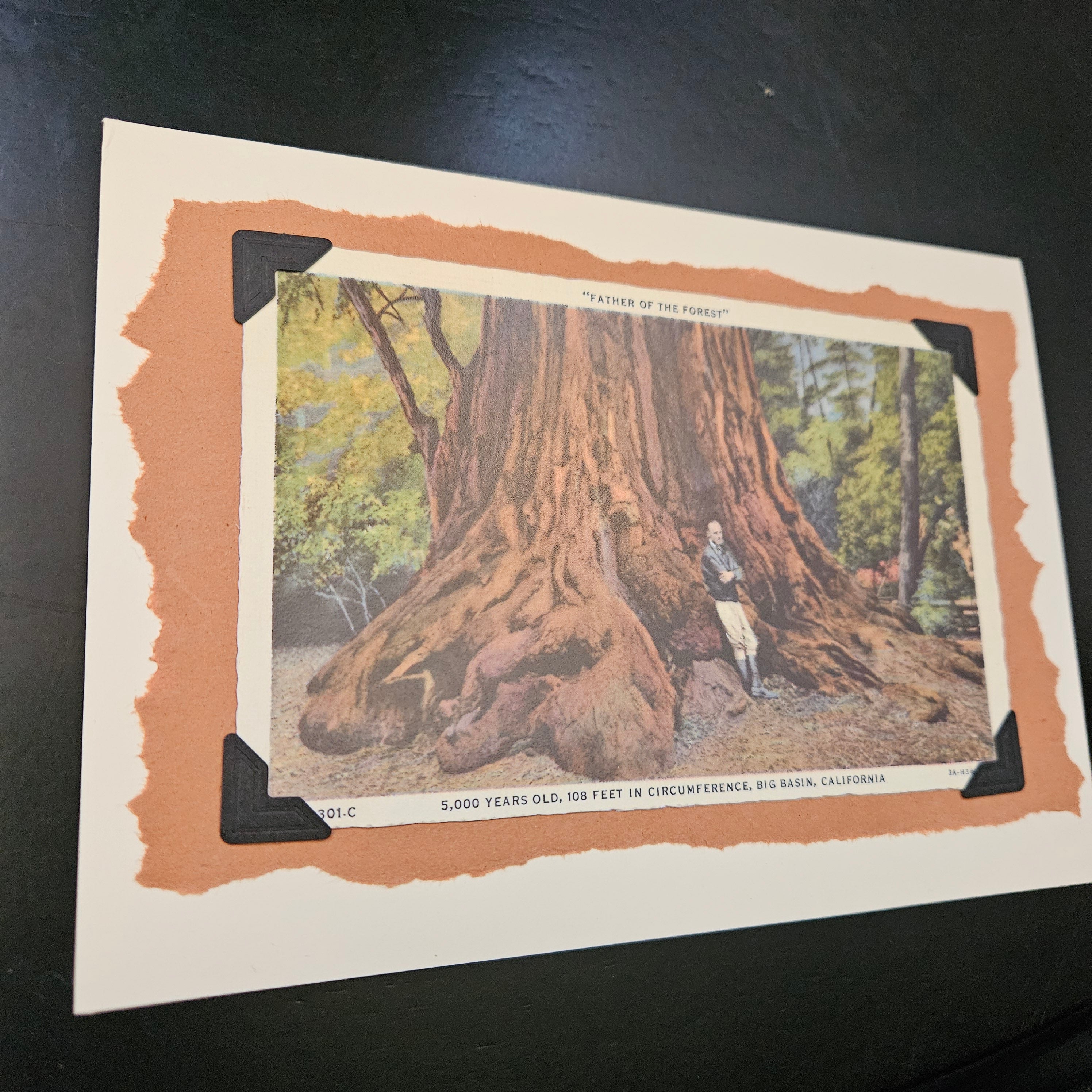 Beautifully Hand Crafted Custom Created Greeting Card Series by Diane Stegman "Father of the Forest"