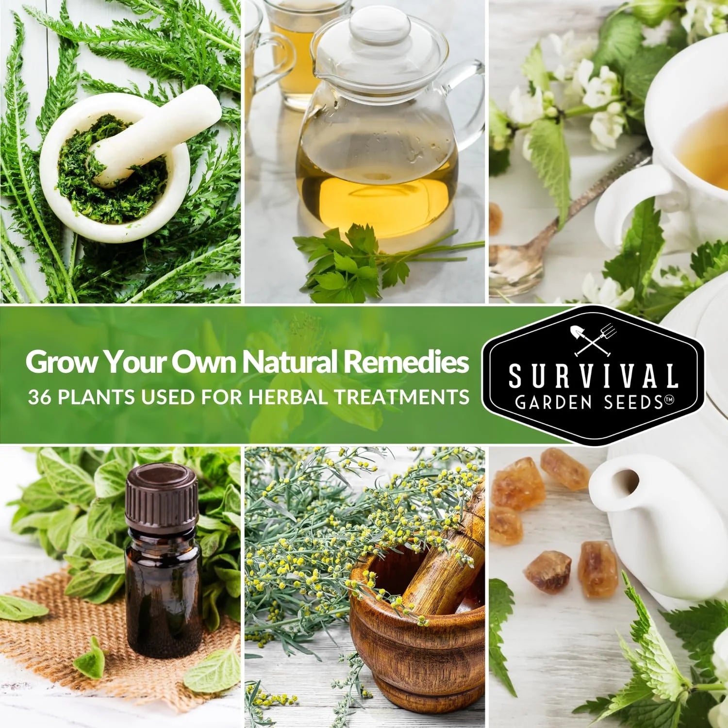 Survival Garden Seeds Ultimate Medicinal Herb Collection