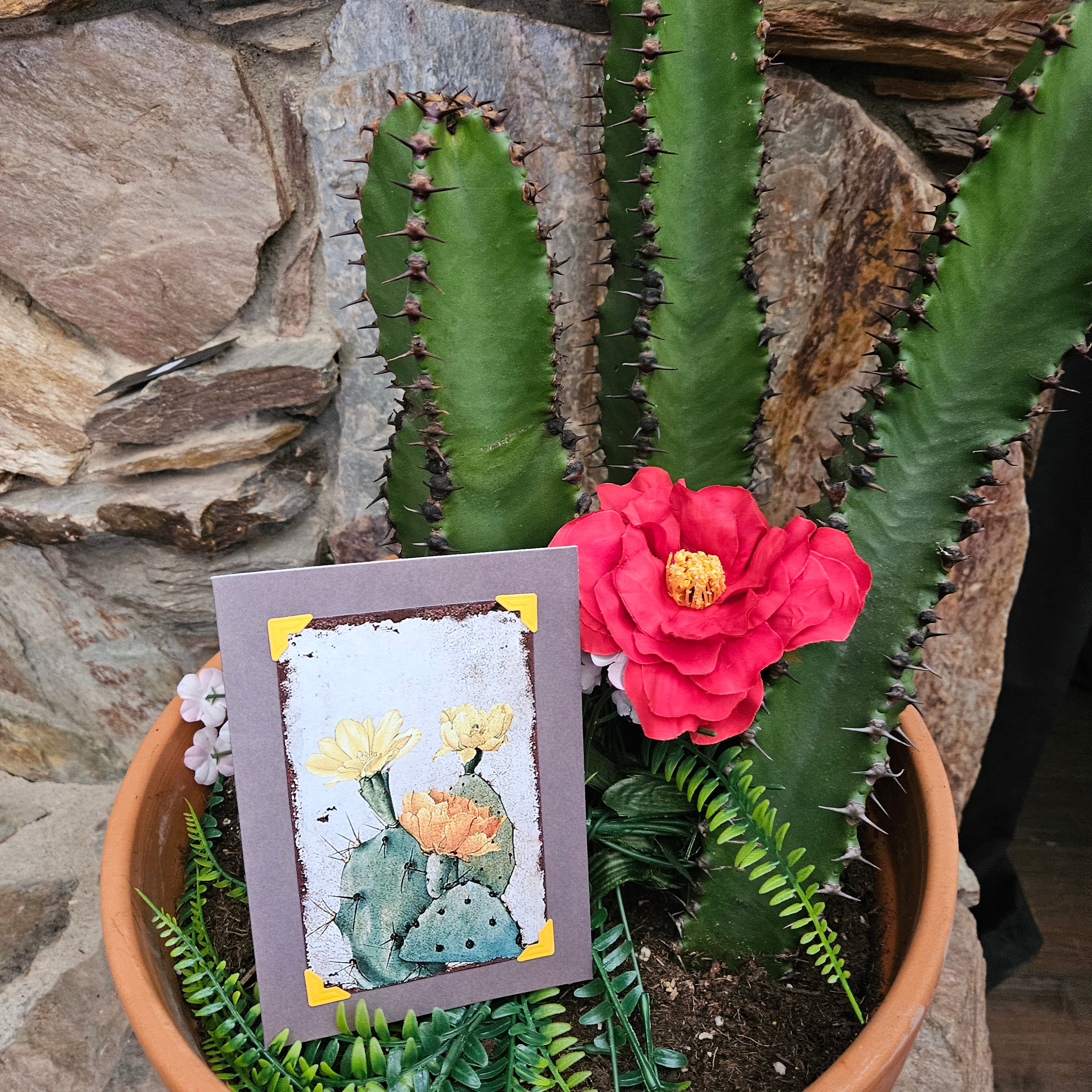 Beautifully Hand Crafted Custom Created Greeting Card Series by Diane Stegman "Prickly Pear Cactus"