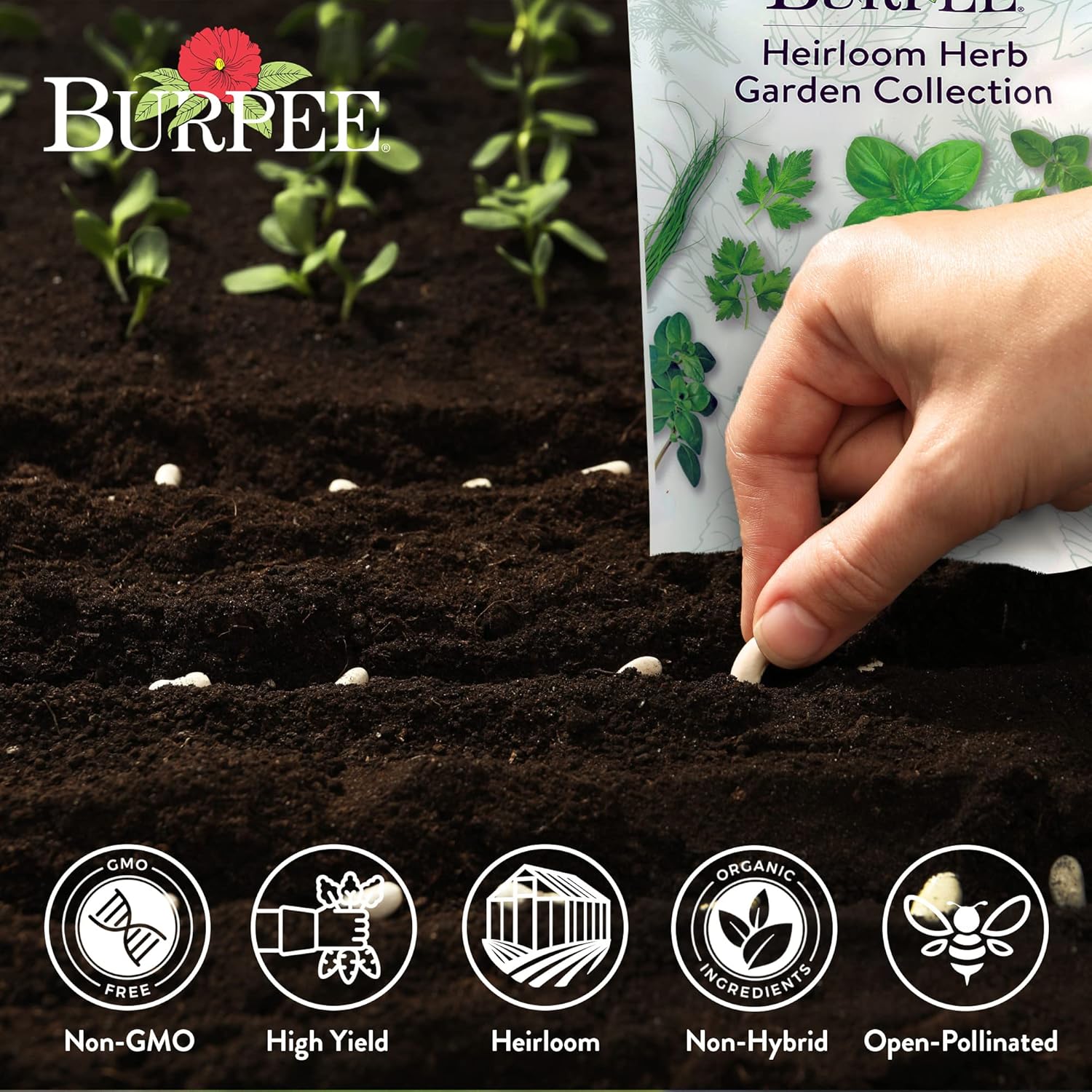 Burpee Heirloom Herb Garden Collection