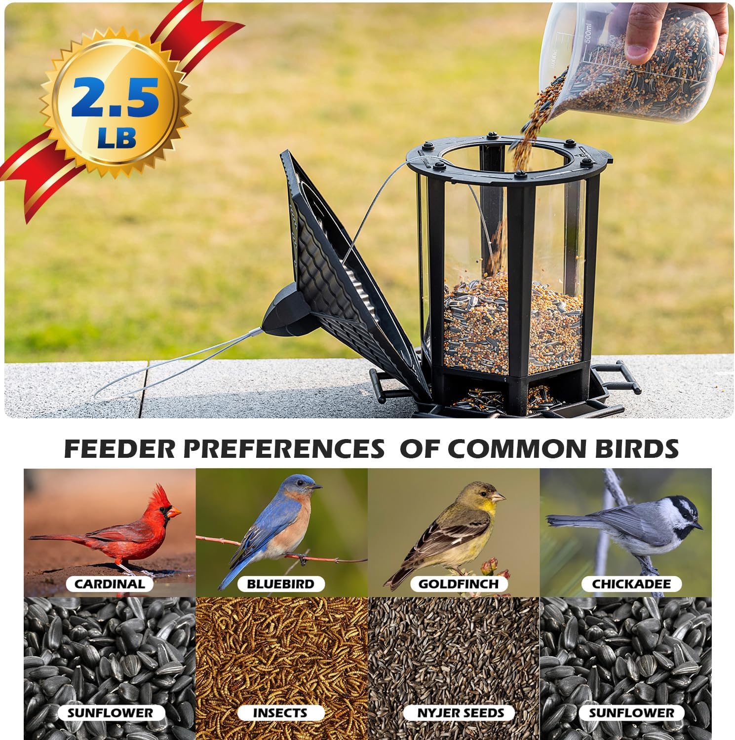 Birdream Bird Feeder for Outdoor Hanging