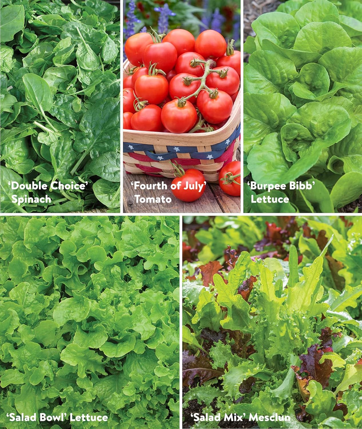 Burpee Salad Garden Collection