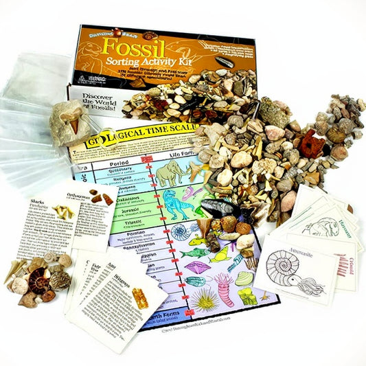 Dancing Bear Fossil Sorting Activity Kit