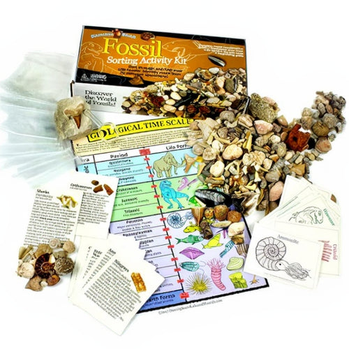 Jumbo Geodes Find Crystal Treasure. 2 Premium Geodes