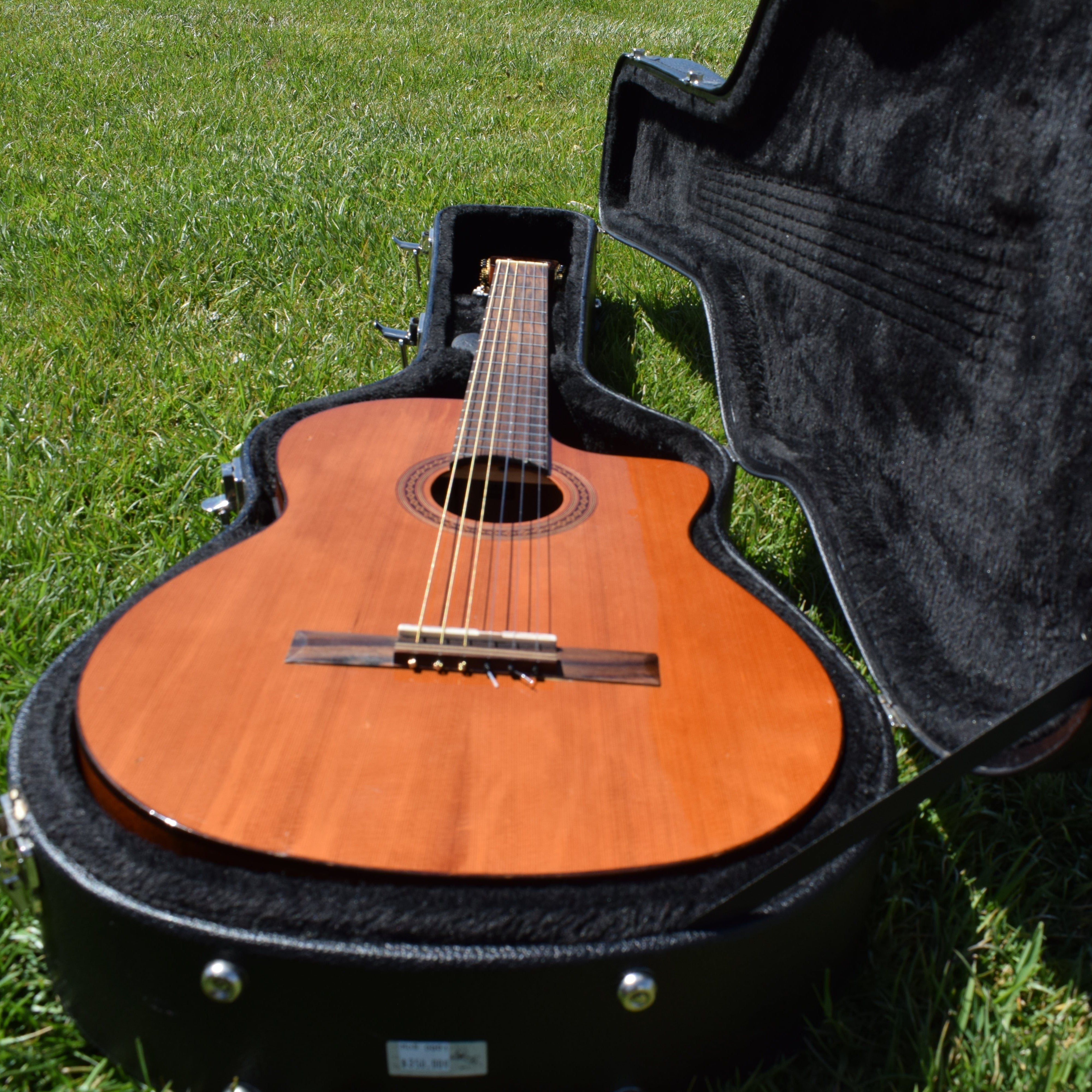 Cordoba C5-CE Classical Cutaway Acoustic-Electric Guitar Natural With Case