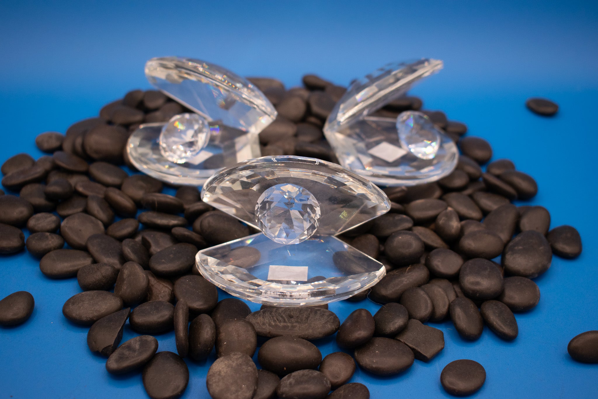 Diamond Clam & Pearl Home Décor Accent