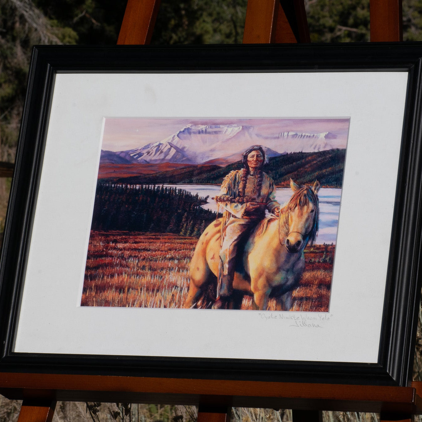 "Oyate Nimkte Wacin Yelo"  Jillana Original Painting of Native American on Horseback
