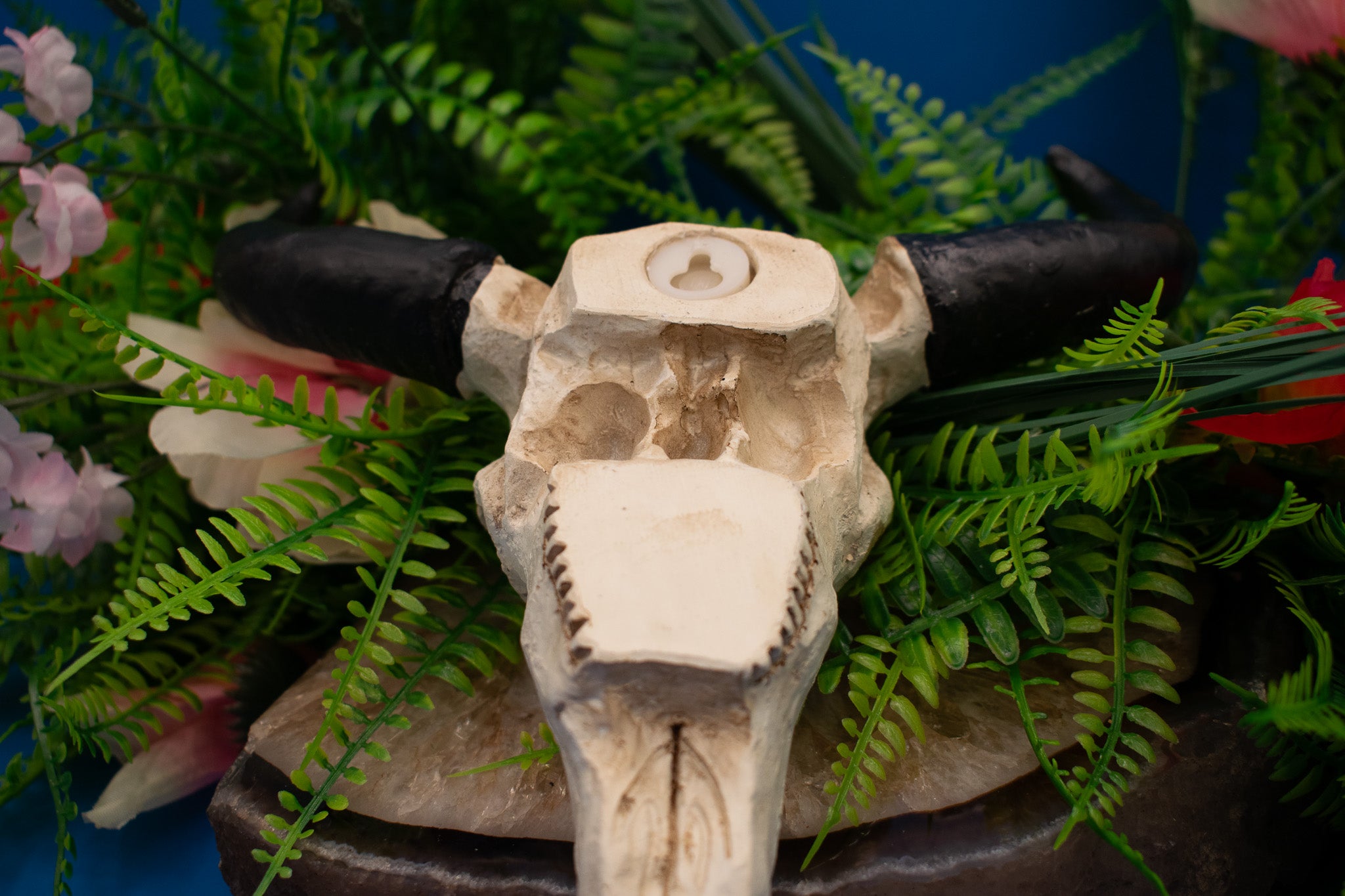 Cow Skull Head Wall Art Sculpture Decoration