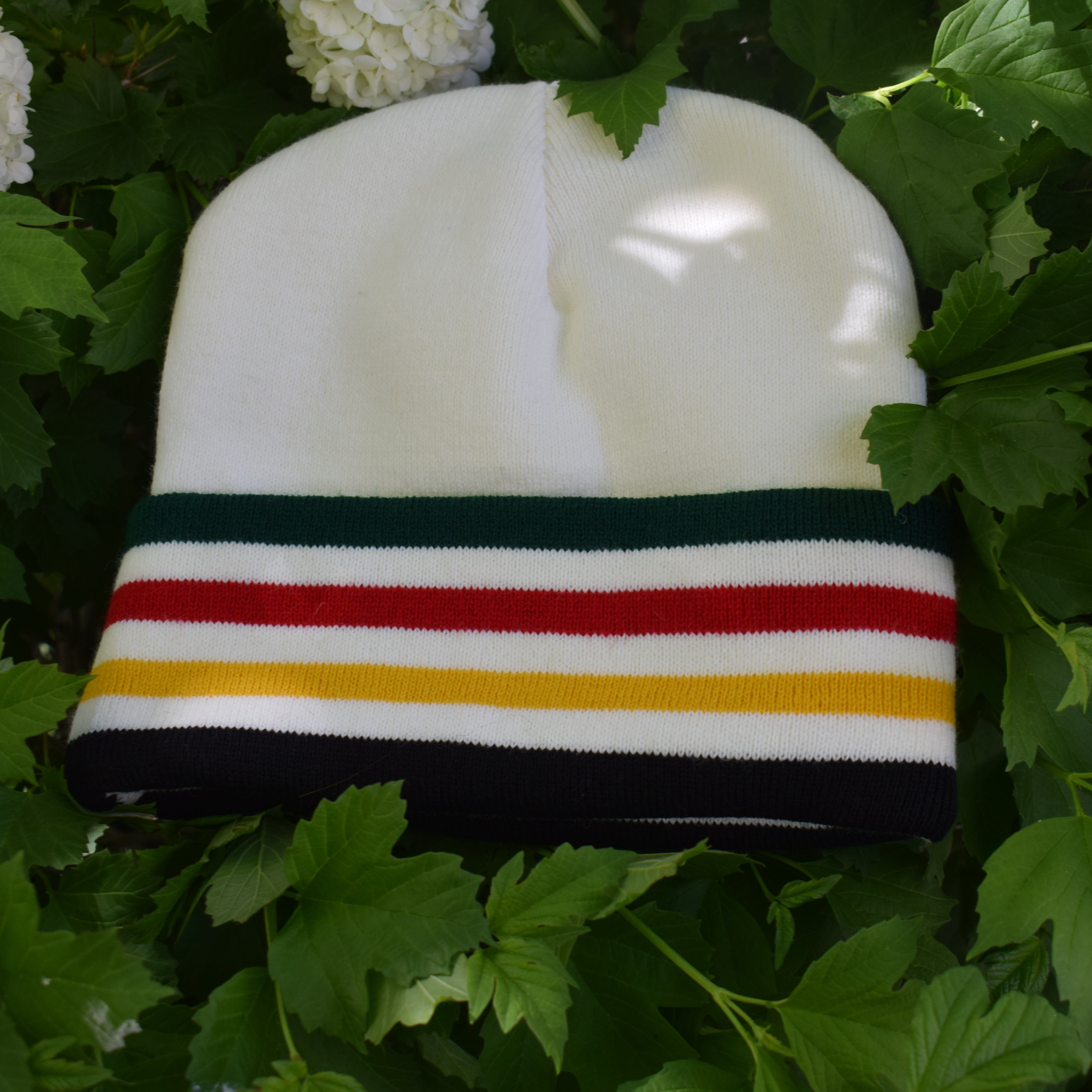 Pendleton National Park Beanie