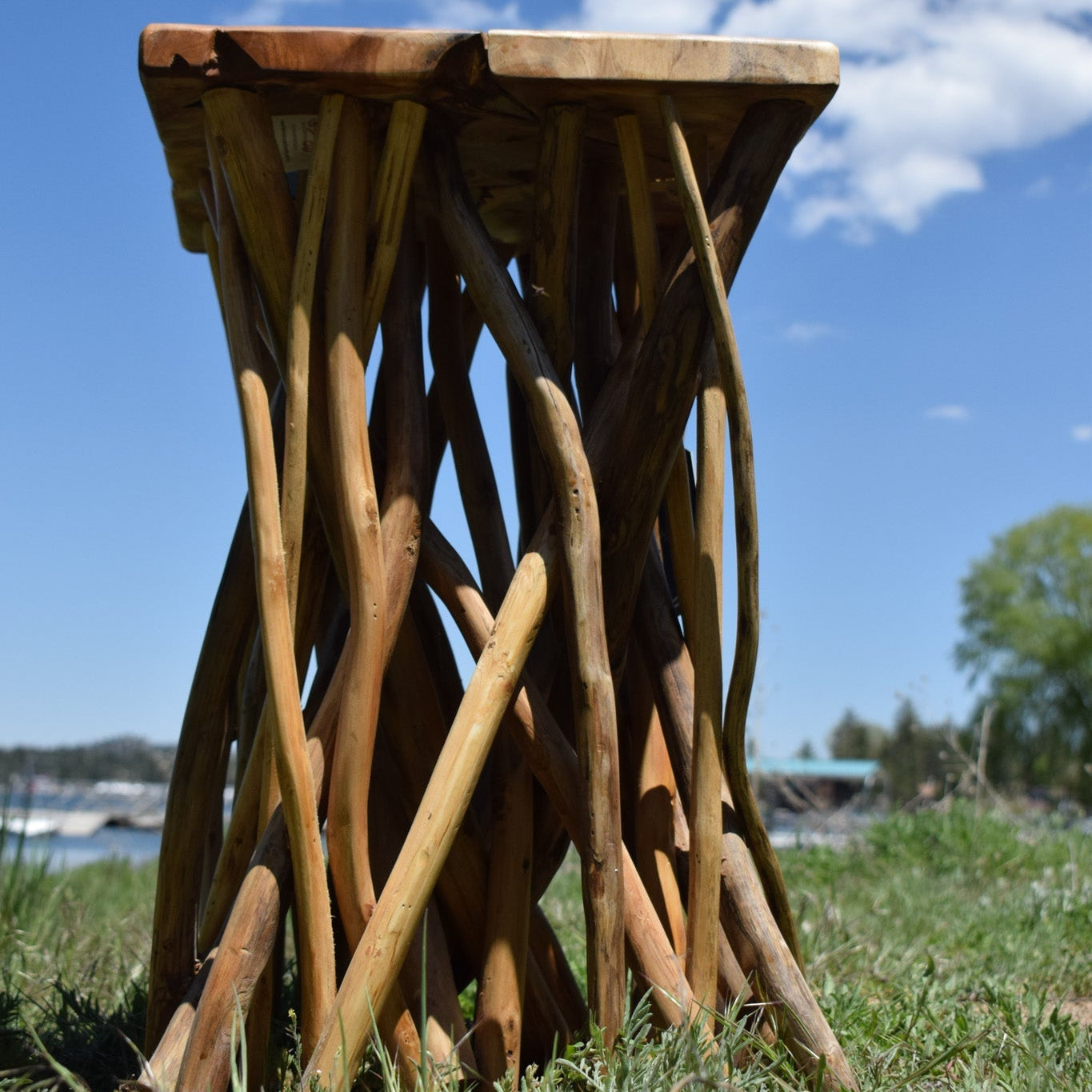 Beautifully Crafted Wood Nautica Side Table with Real Tree-Branch Limbs