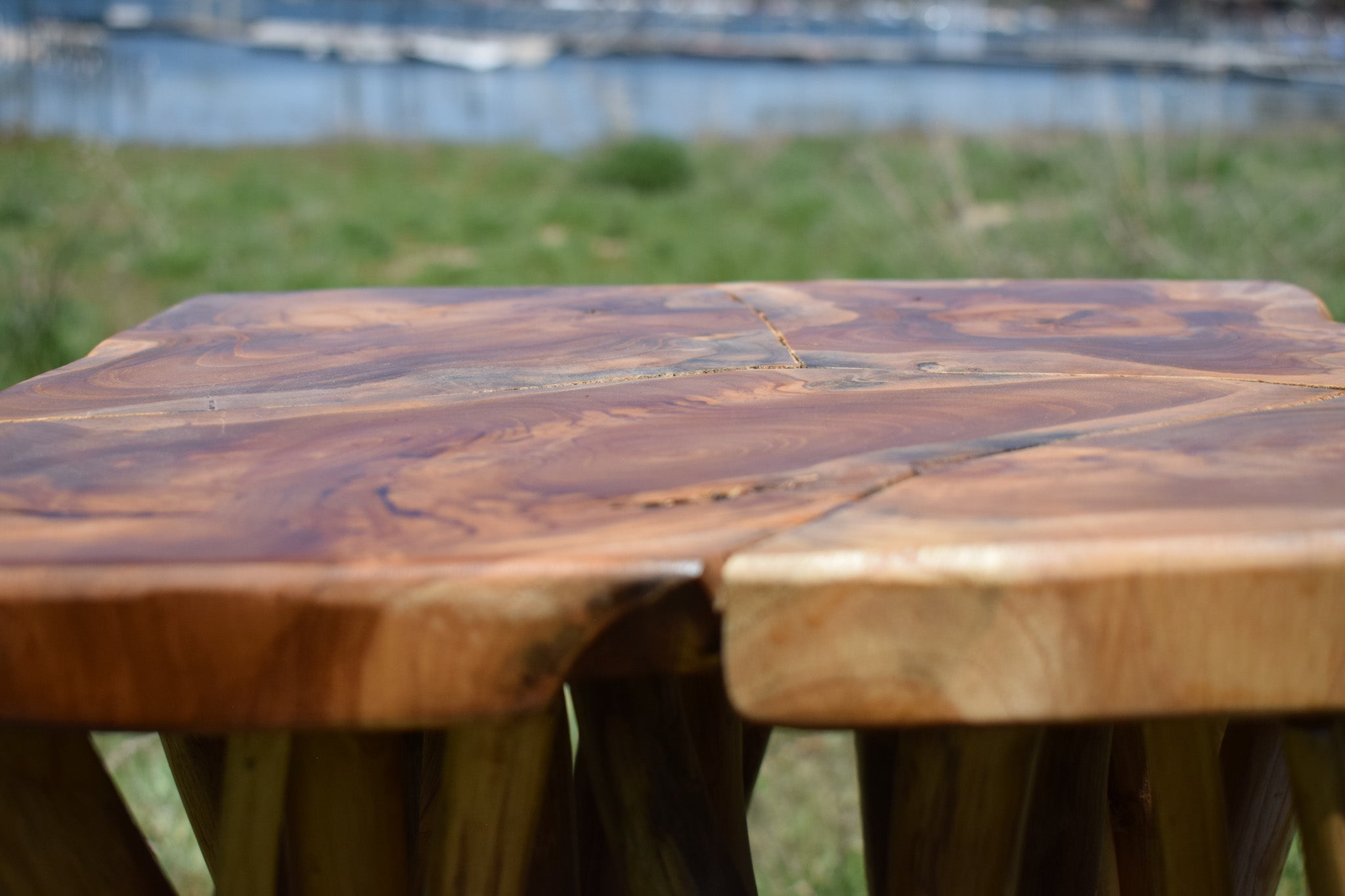 Beautifully Crafted Wood Nautica Side Table with Real Tree-Branch Limbs