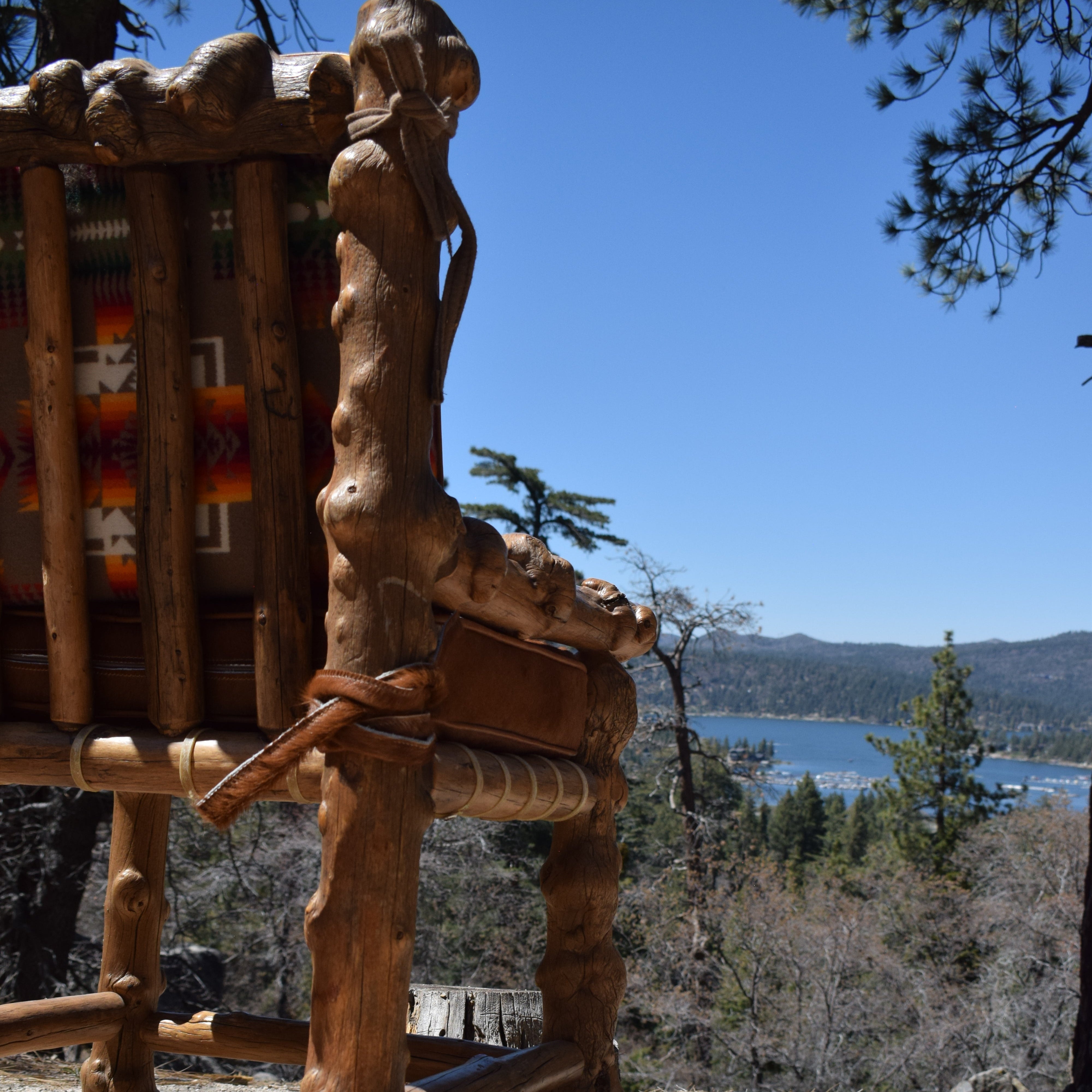 Rustic Knots And Gnarled Pine Log Chair