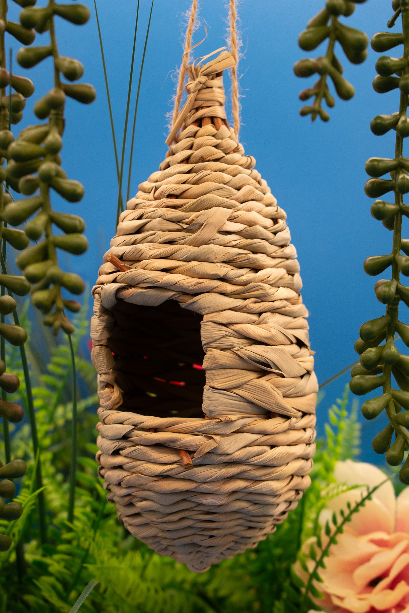 WINFUN Hanging Humming Bird House