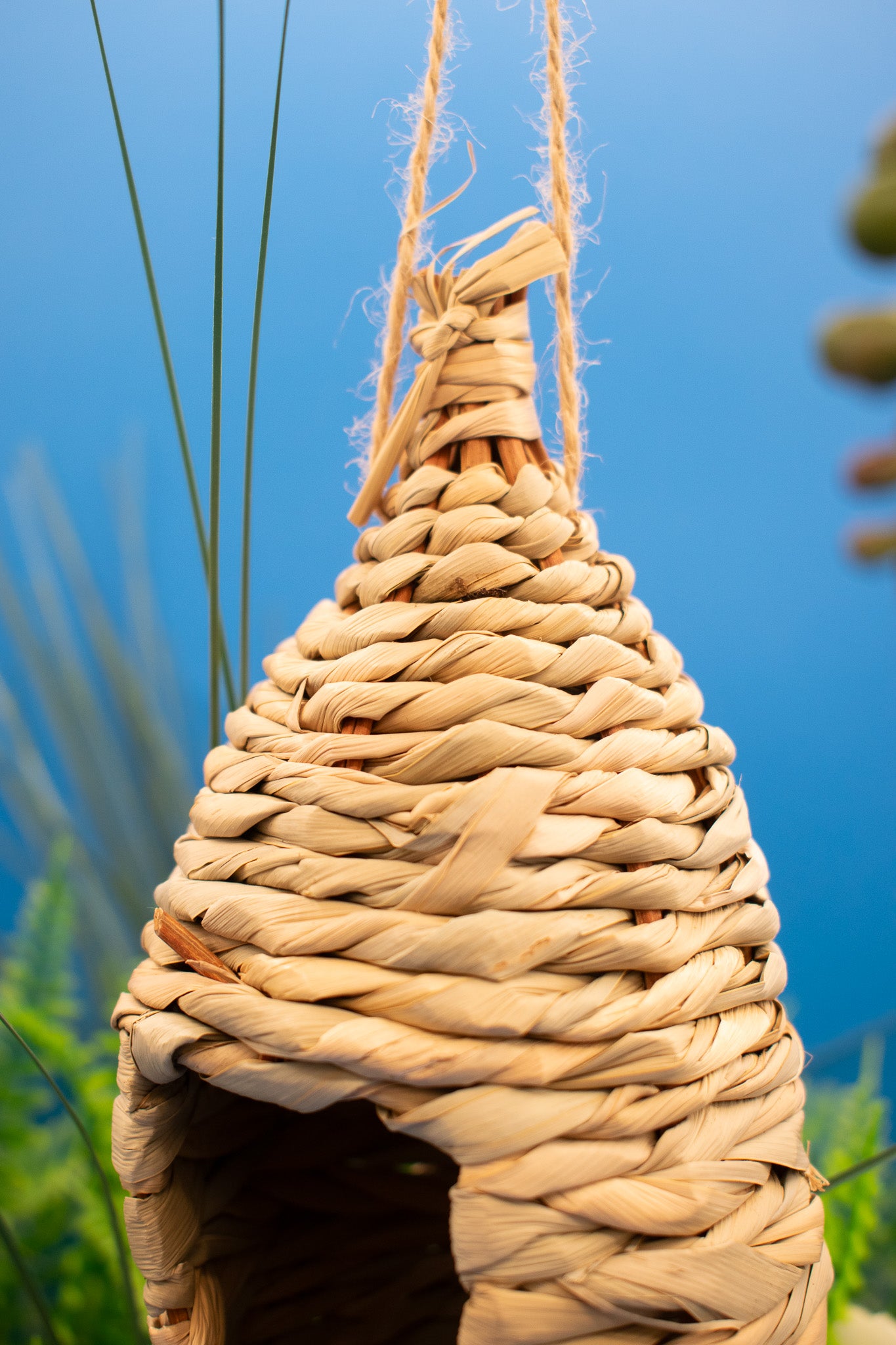 WINFUN Hanging Humming Bird House