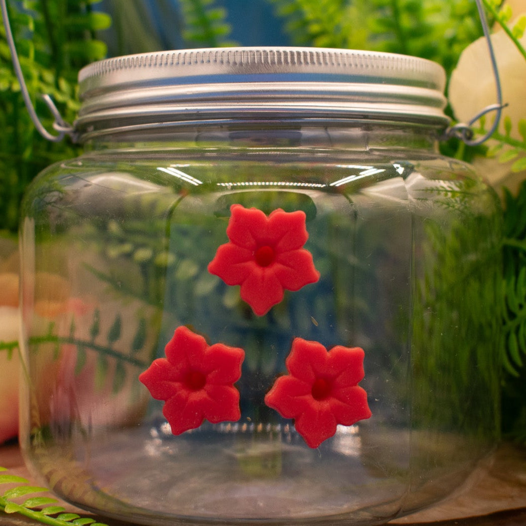 Plastic Jar Hummingbird Feeder