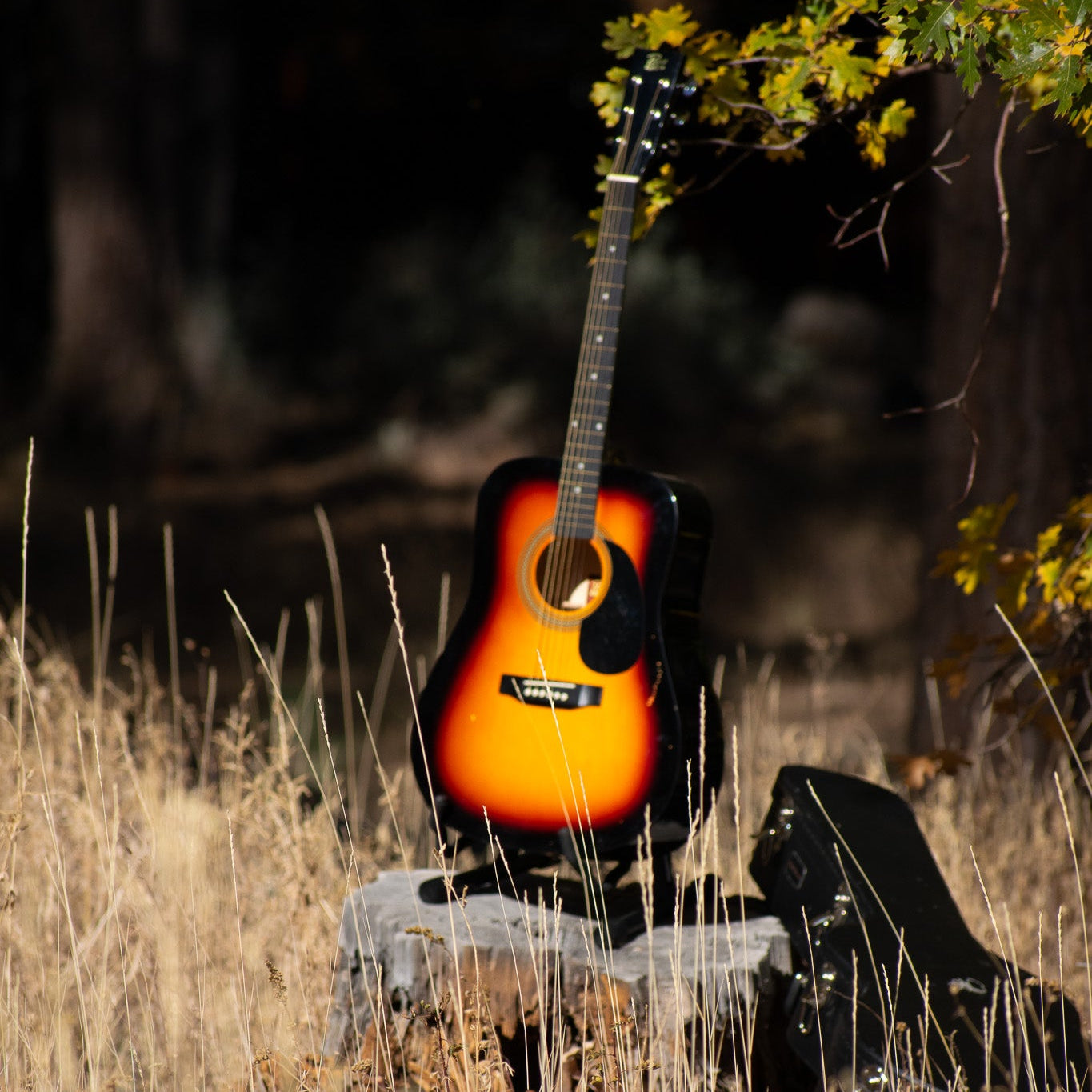  Guitar