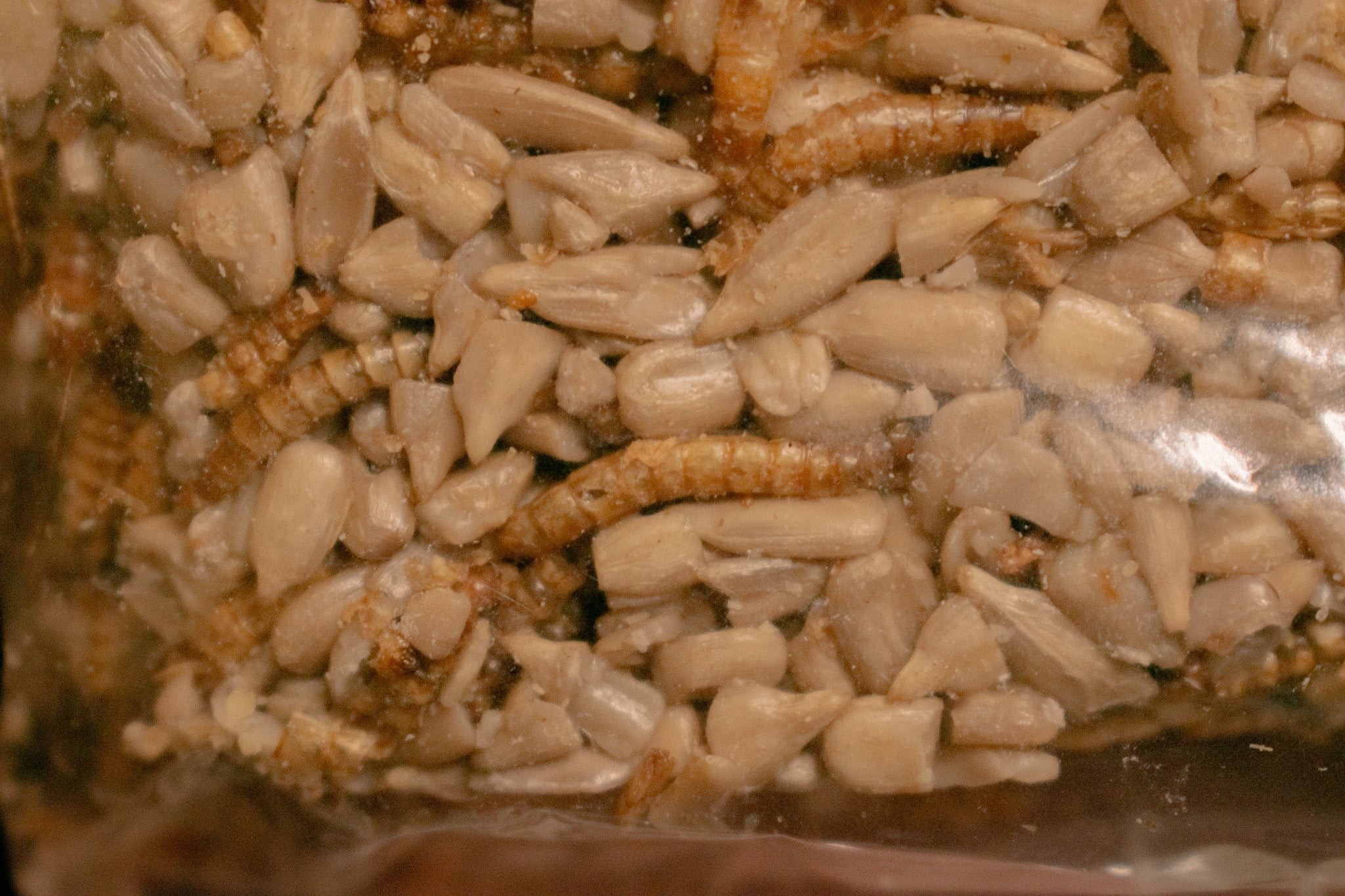 Happy Hen Treat Square Sunflower & Mealworms