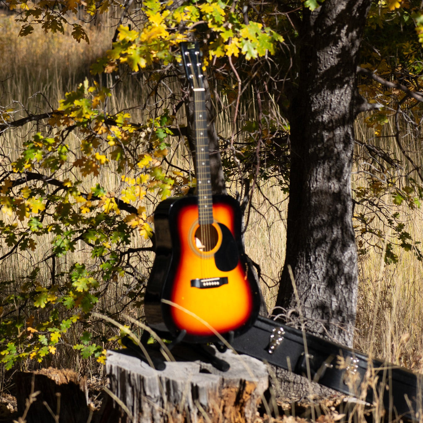 Rogue  Guitar