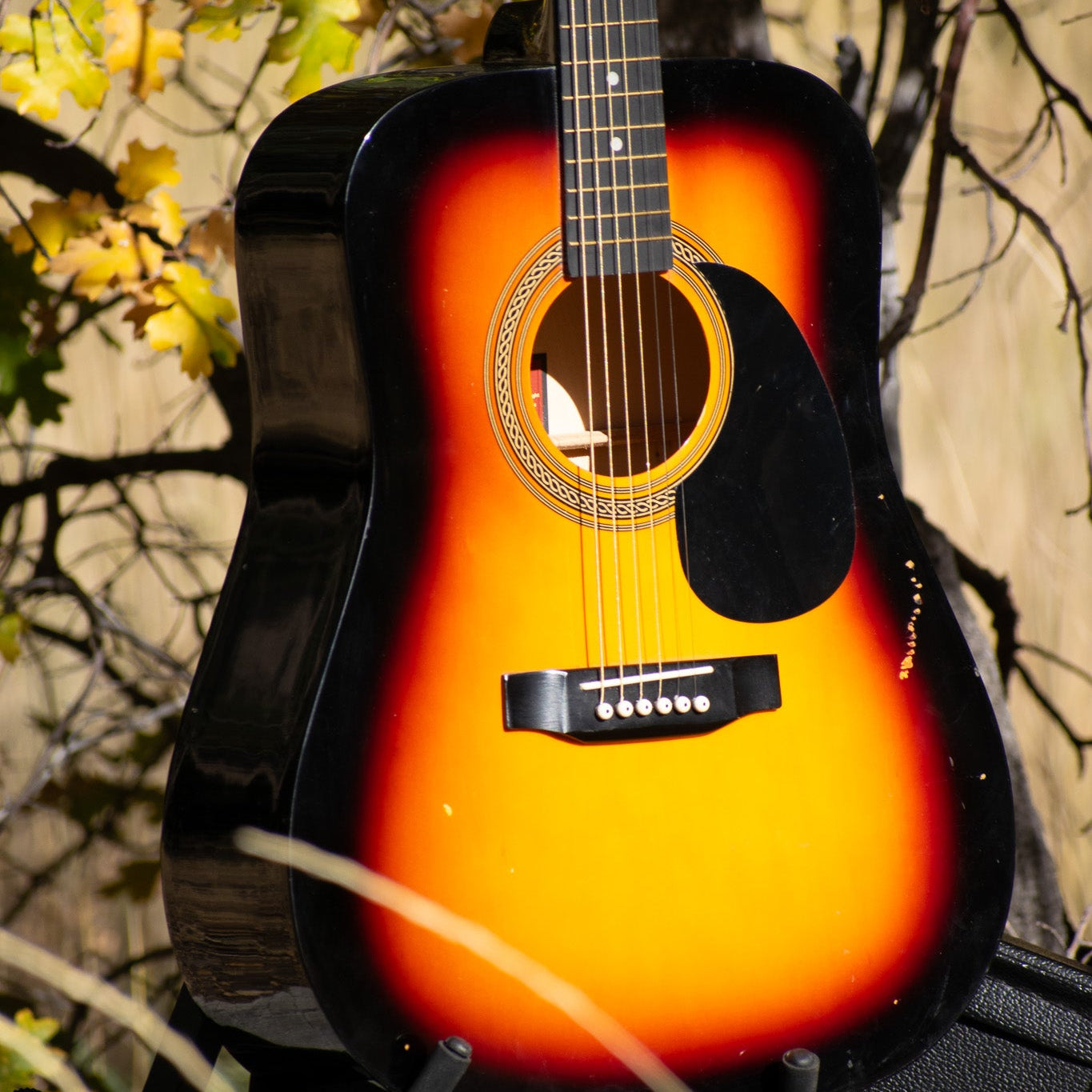 Rogue Fine Instruments Dreadnought RA-090-SN Guitar