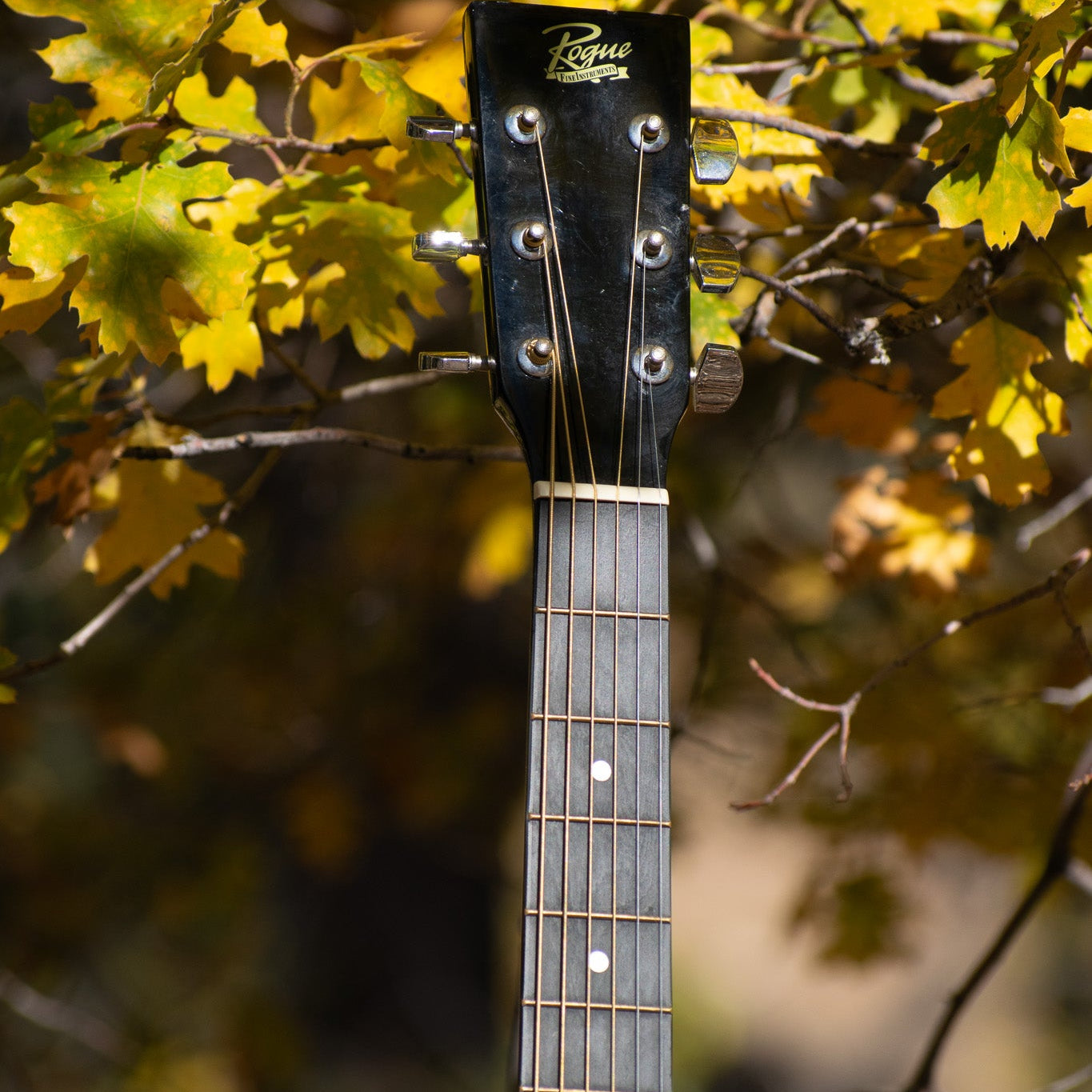 Rogue Fine Instruments Dreadnought RA-090-SN Guitar